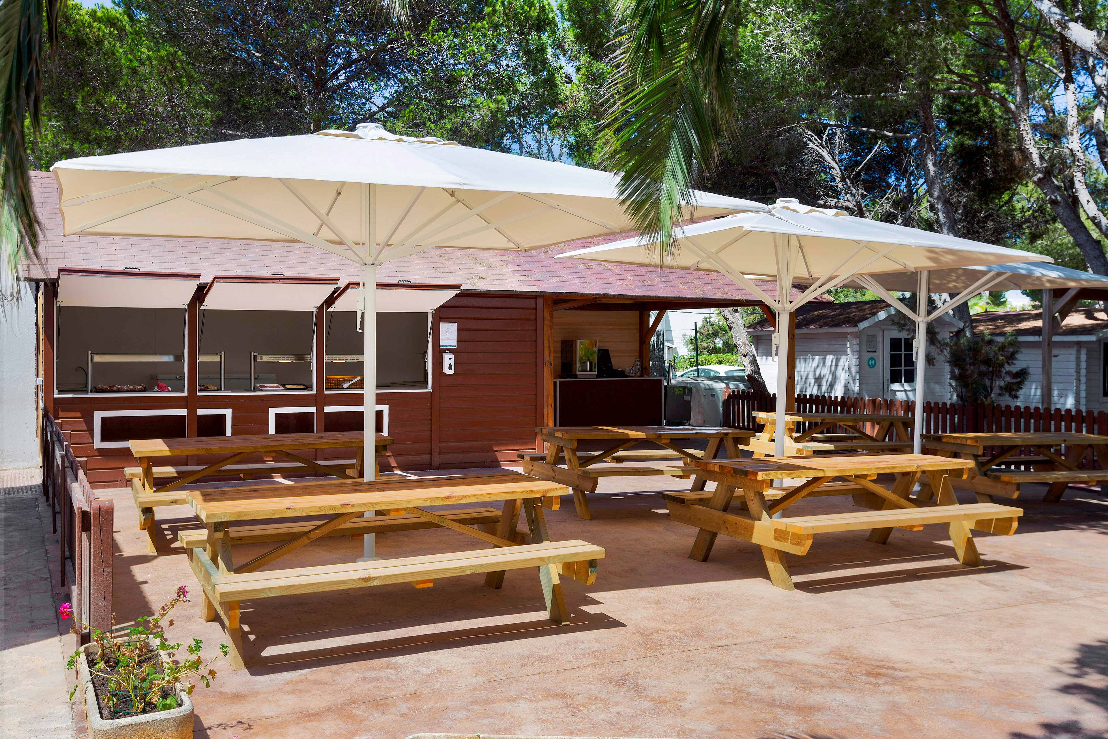 Alua Suites Las Rocas