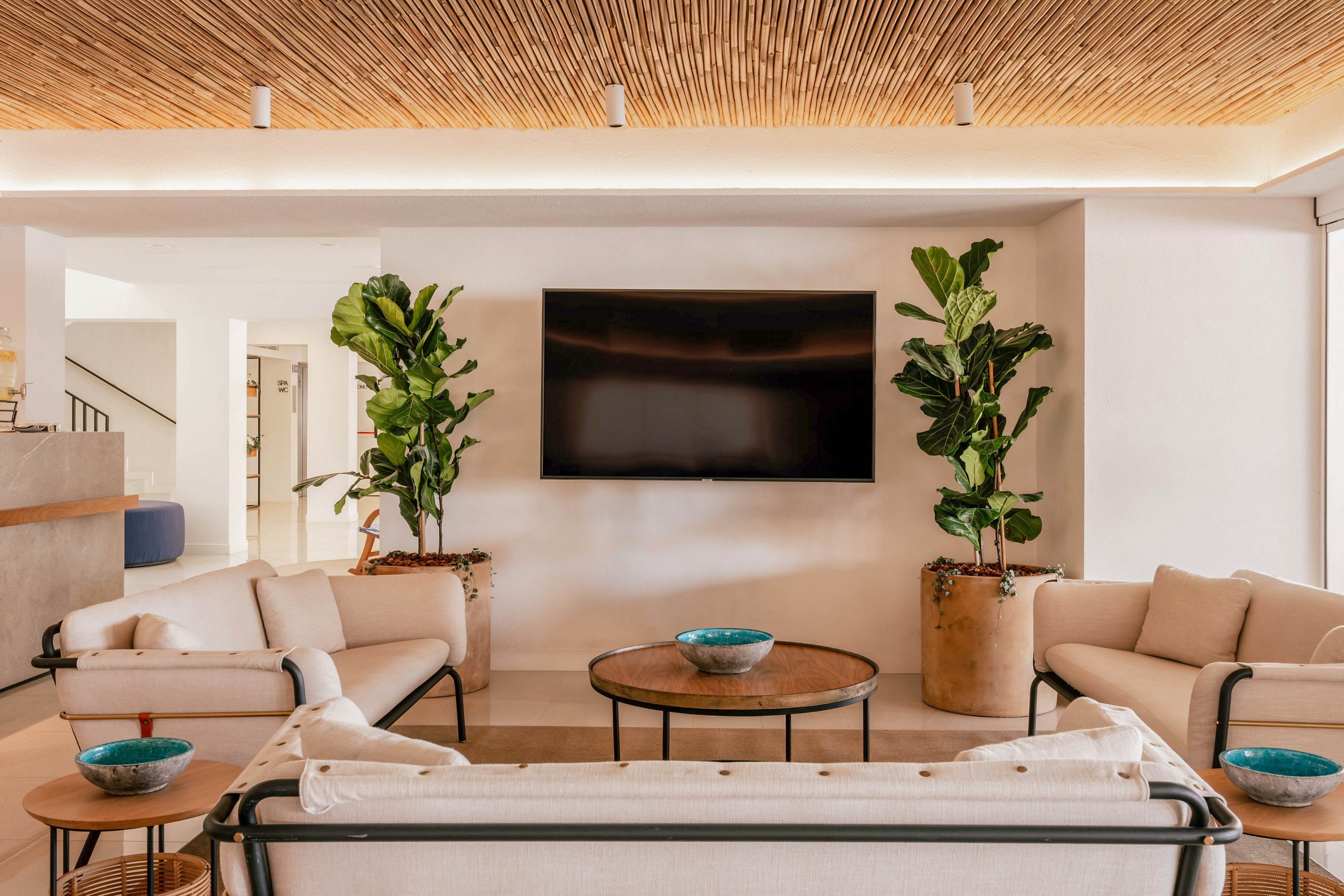 A contemporary living room features a large flat-screen television mounted on a white wall. Neutral-toned sofas and armchairs are arranged around round wooden coffee tables with decorative bowls. Tall potted plants flank the television, adding greenery to the space. A warm wooden slat ceiling with recessed lighting creates a cozy yet modern atmosphere in the bright interior.