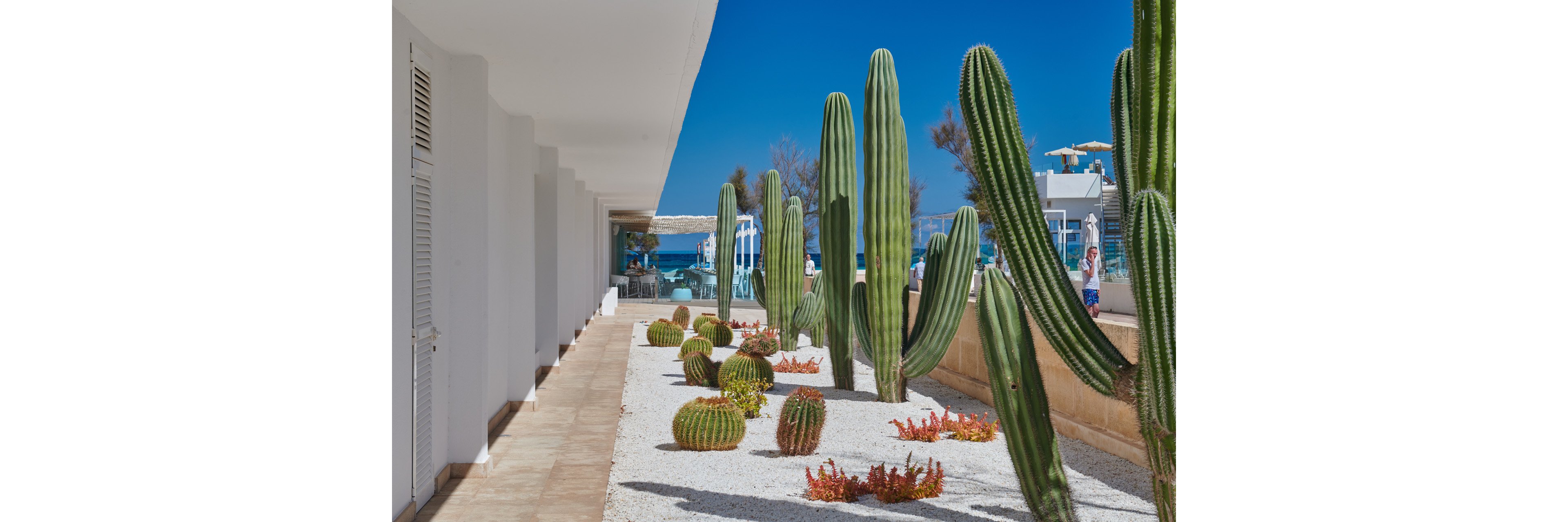 The Sea Hotel by Grupotel