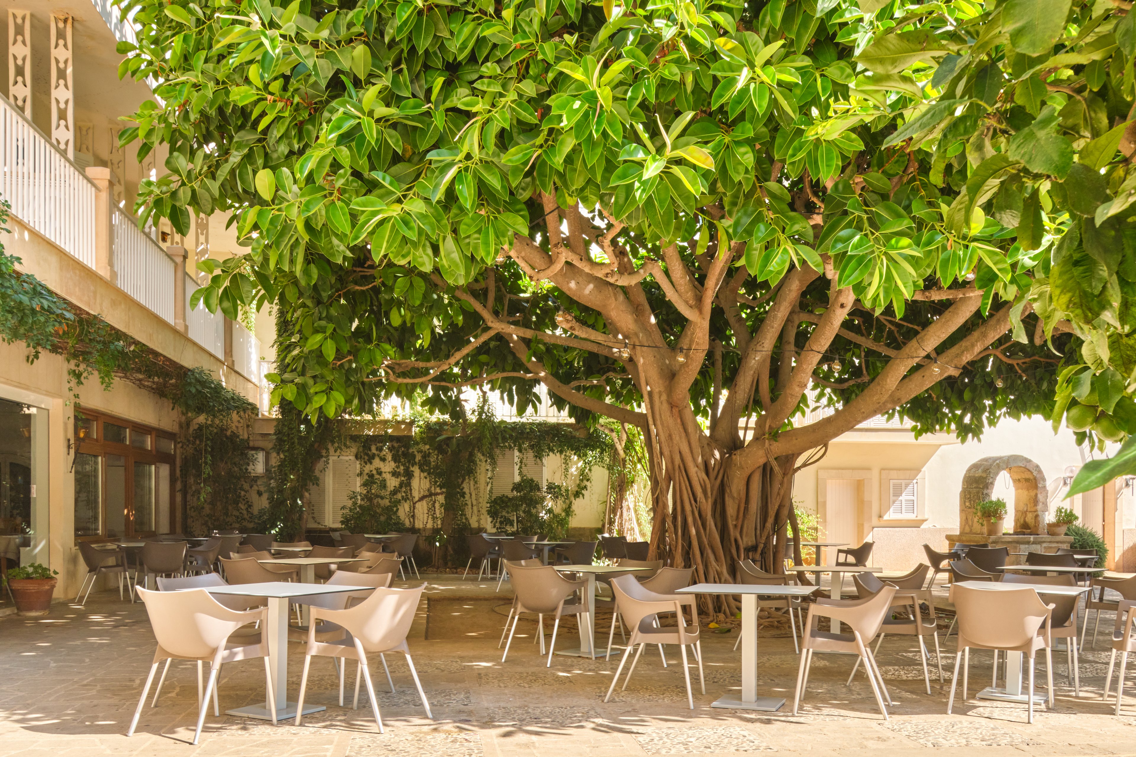 Palia Castell dels Hams