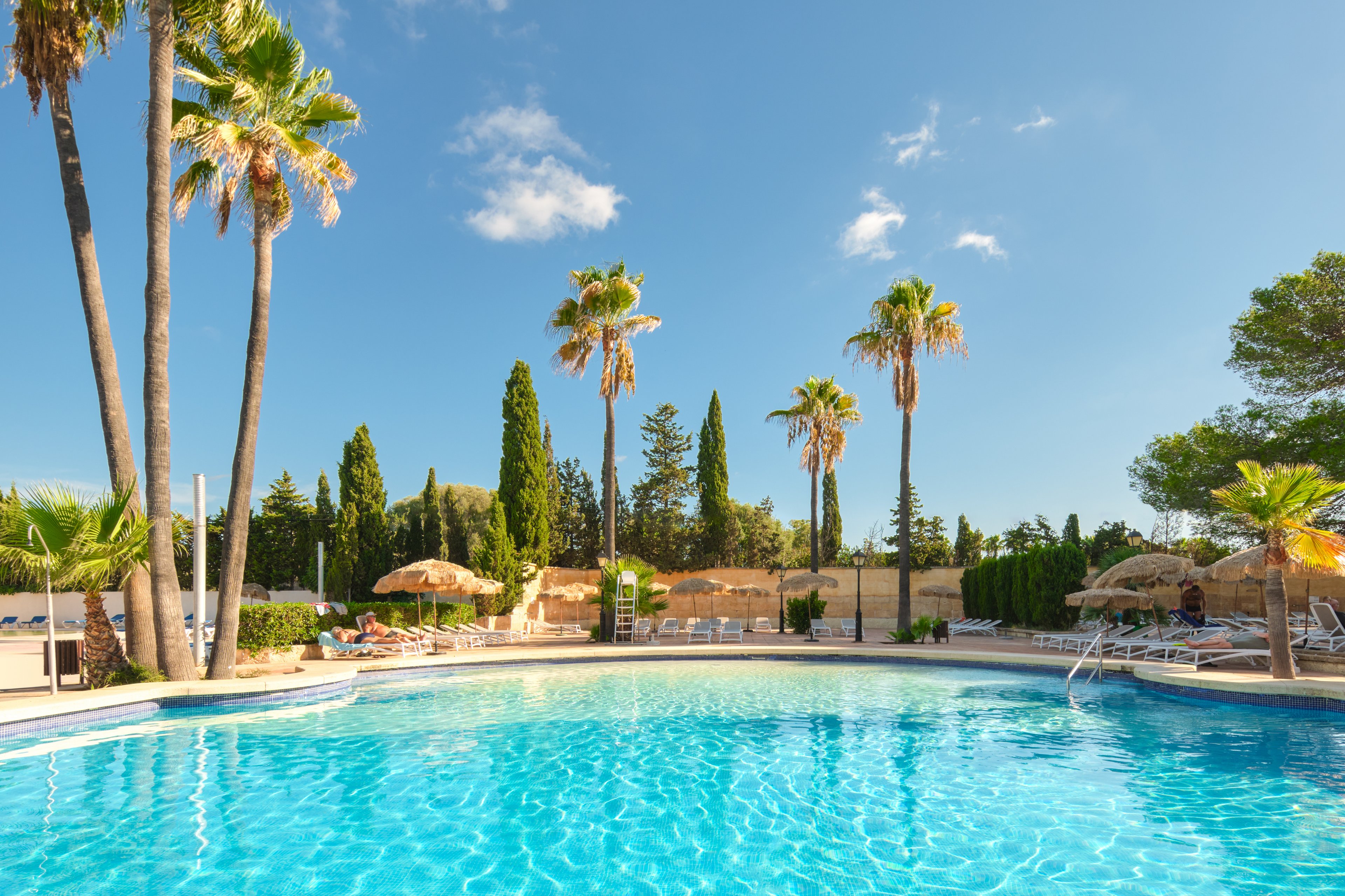 Palia Castell dels Hams