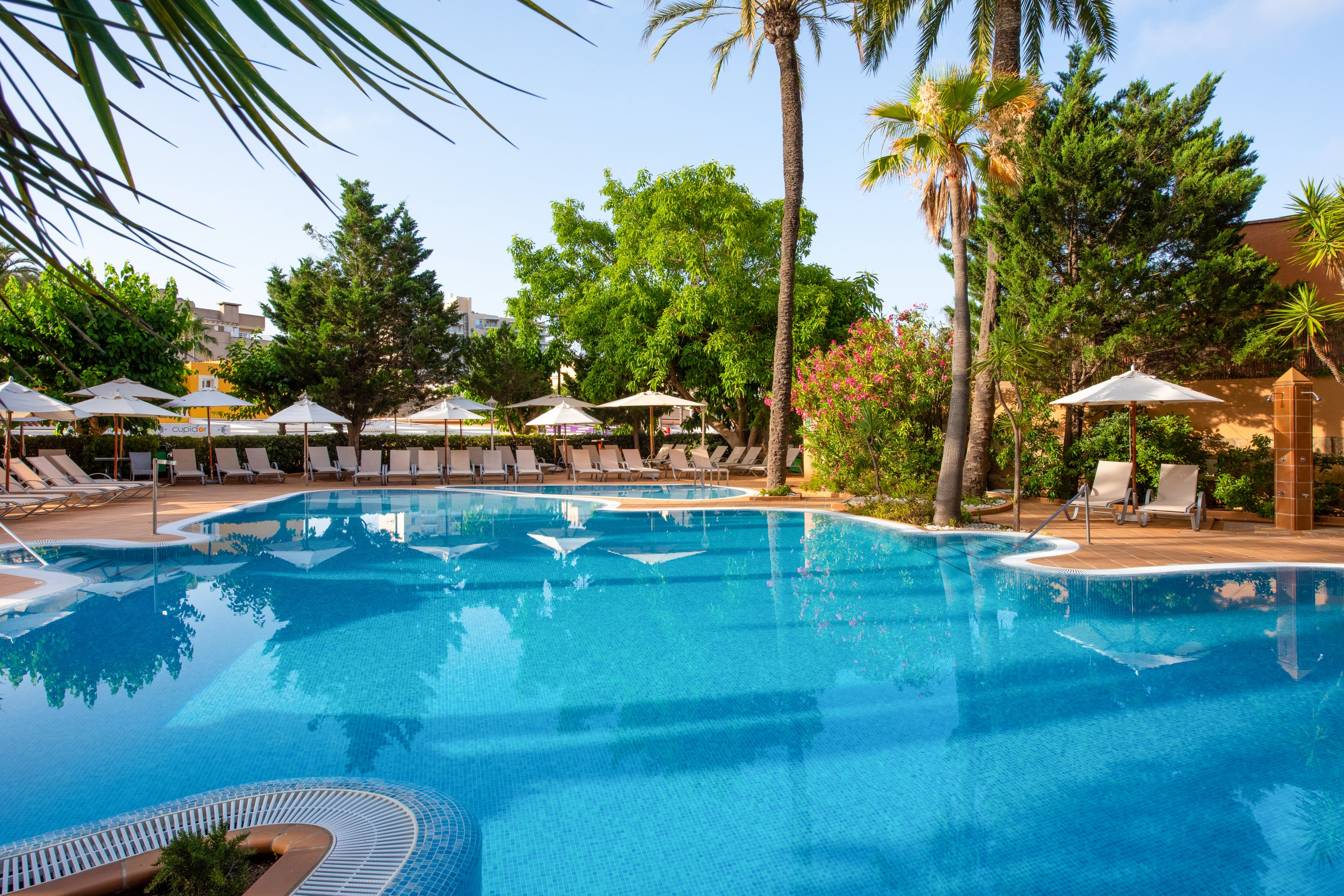 Valentin Reina Paguera