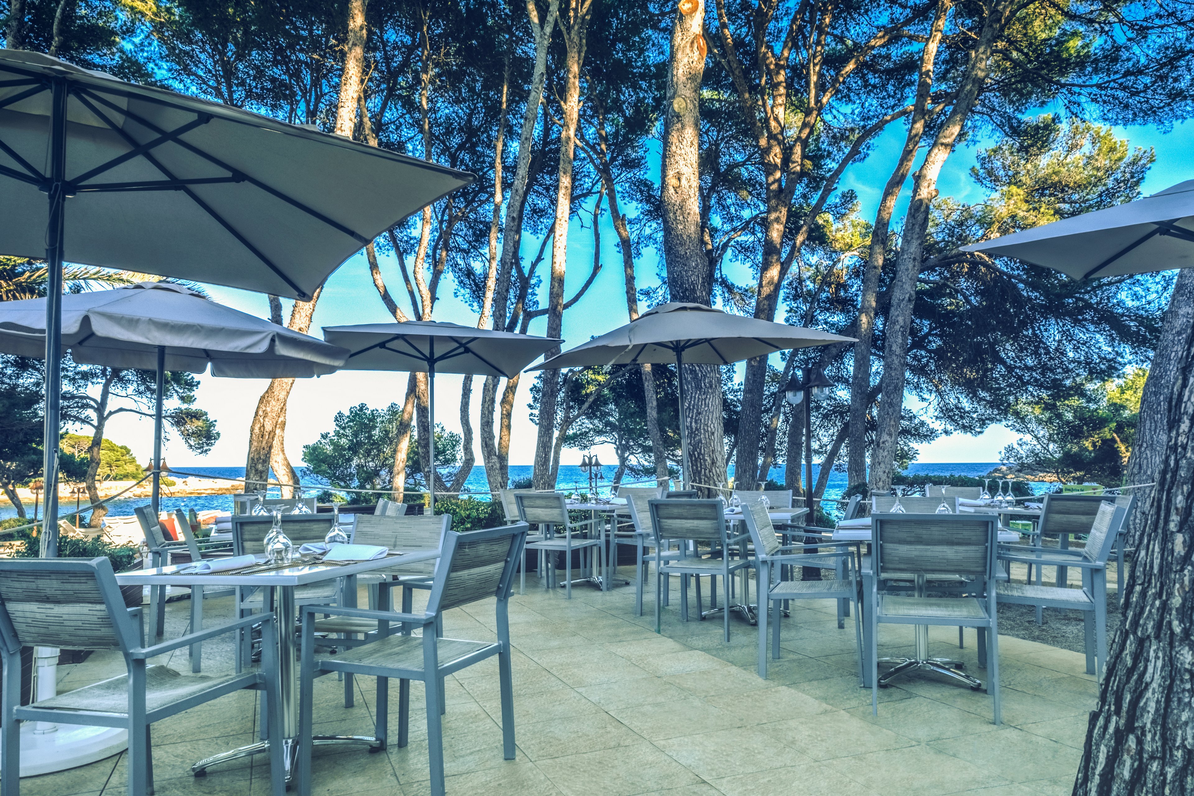 Iberostar Waves Pinos Park