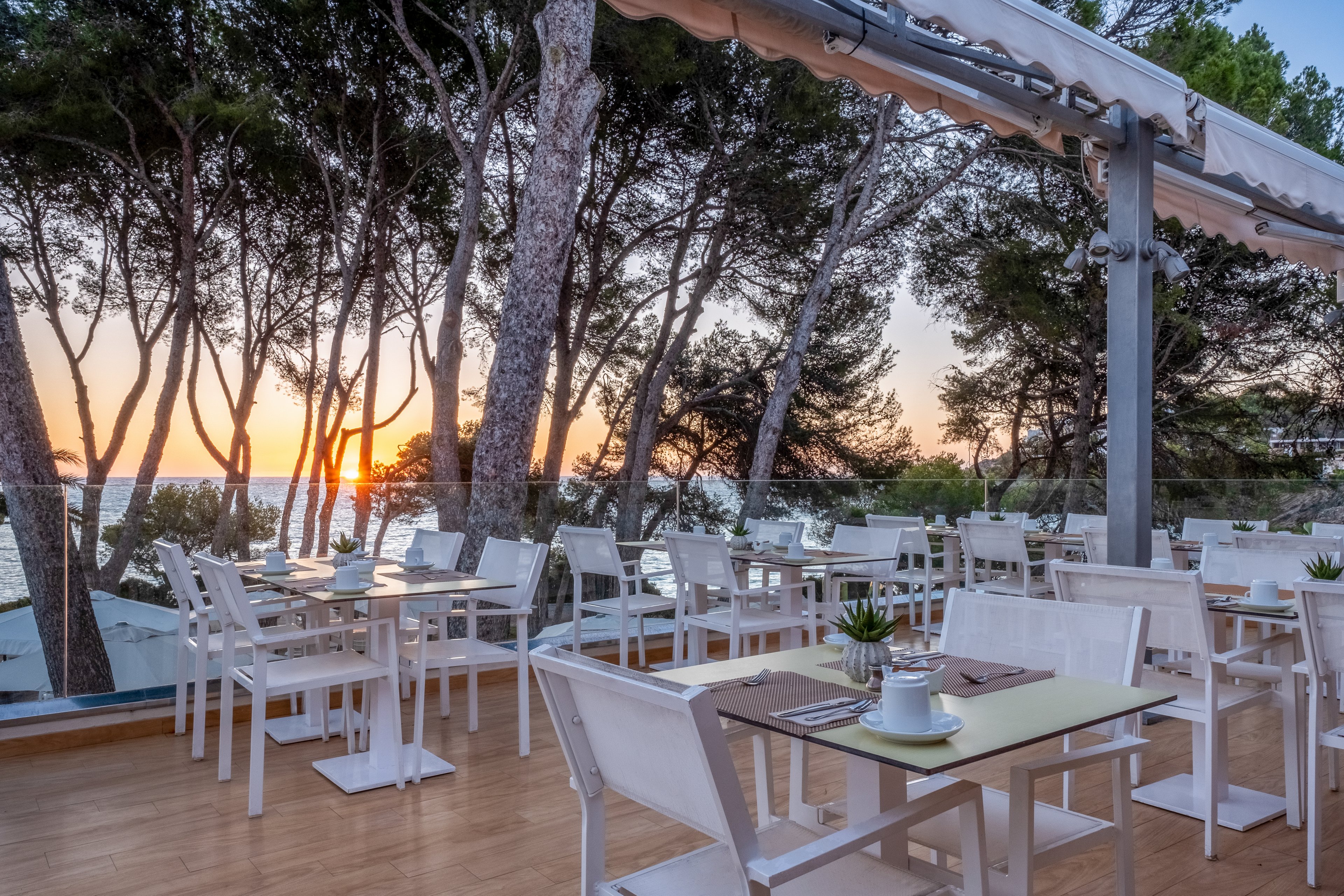 Iberostar Waves Pinos Park