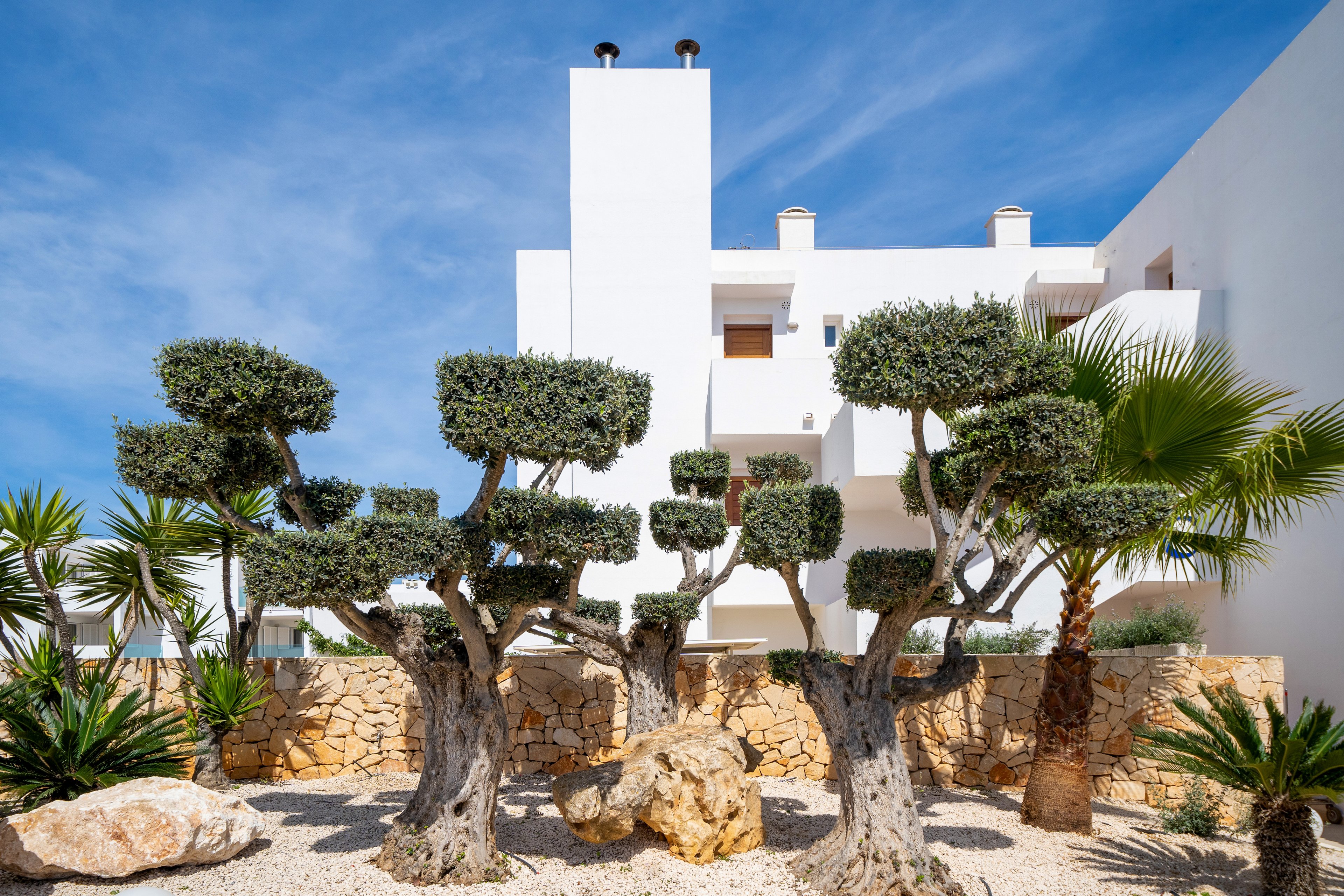 MarSenses Ferrera Blanca Adults Only