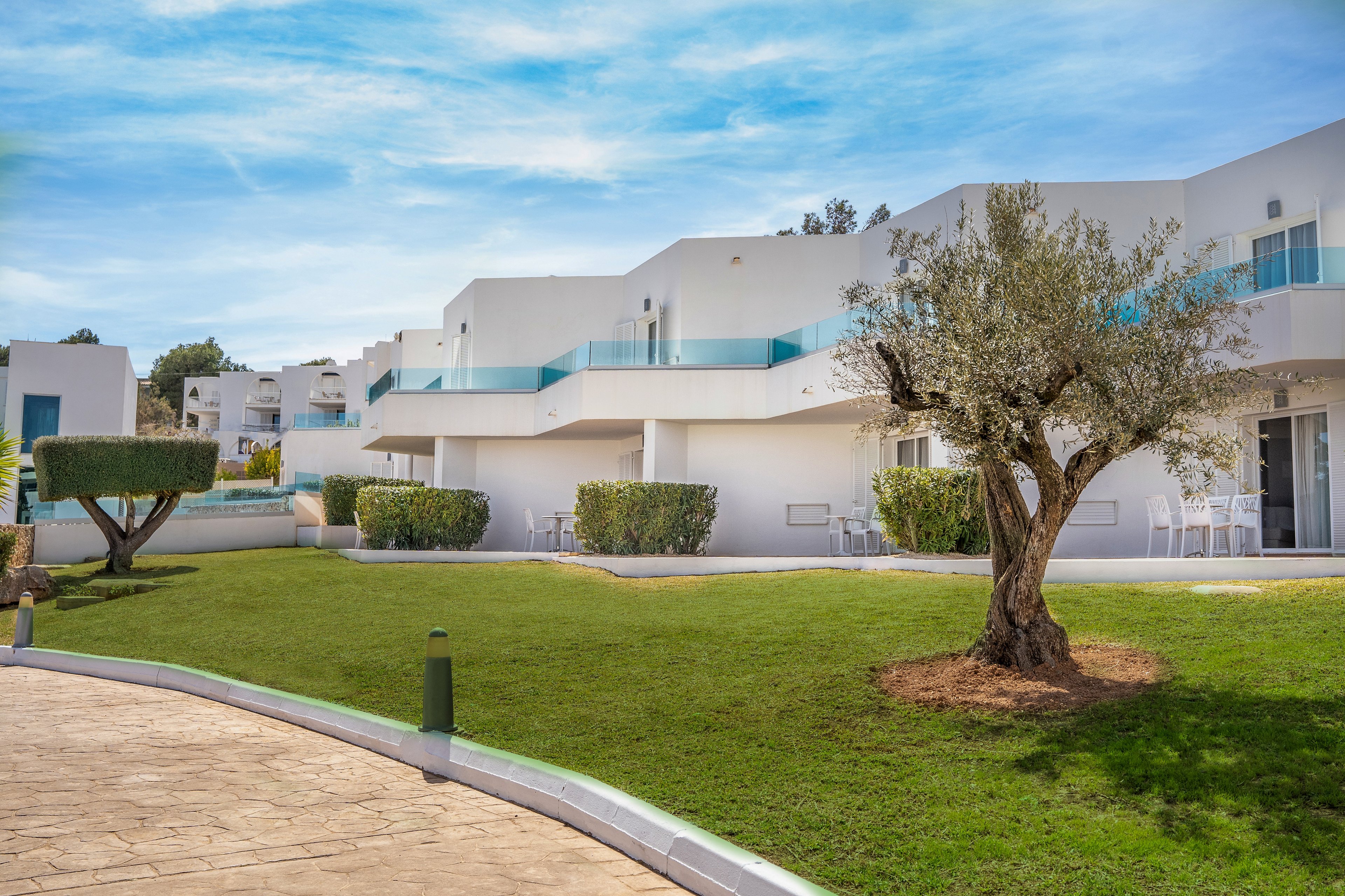 MarSenses Ferrera Blanca Adults Only