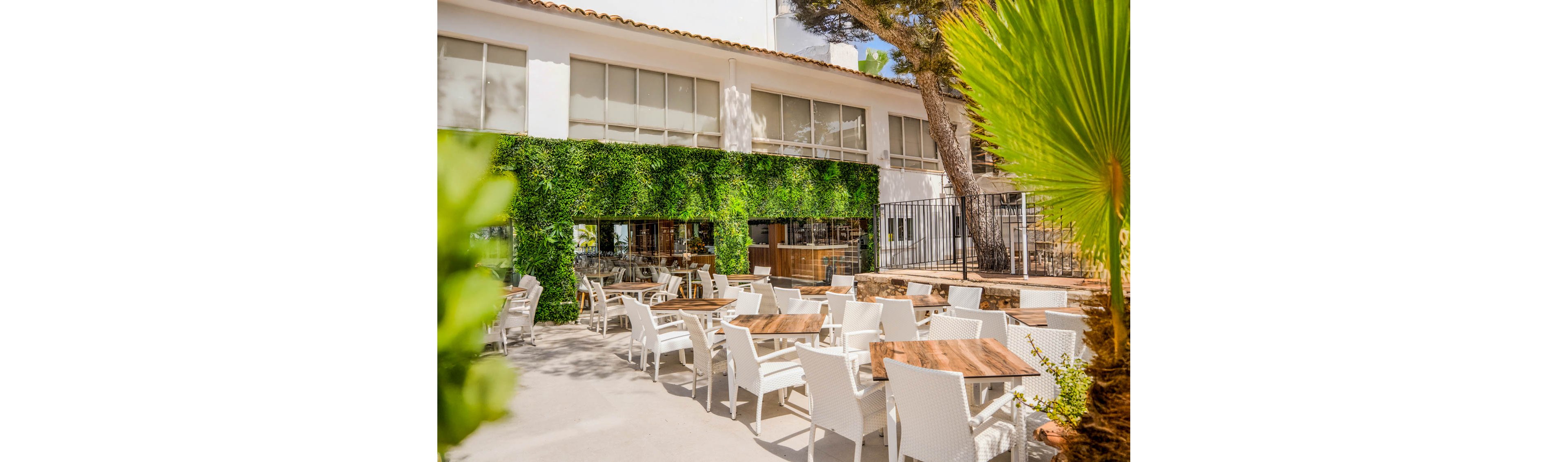 MarSenses Natura Olea