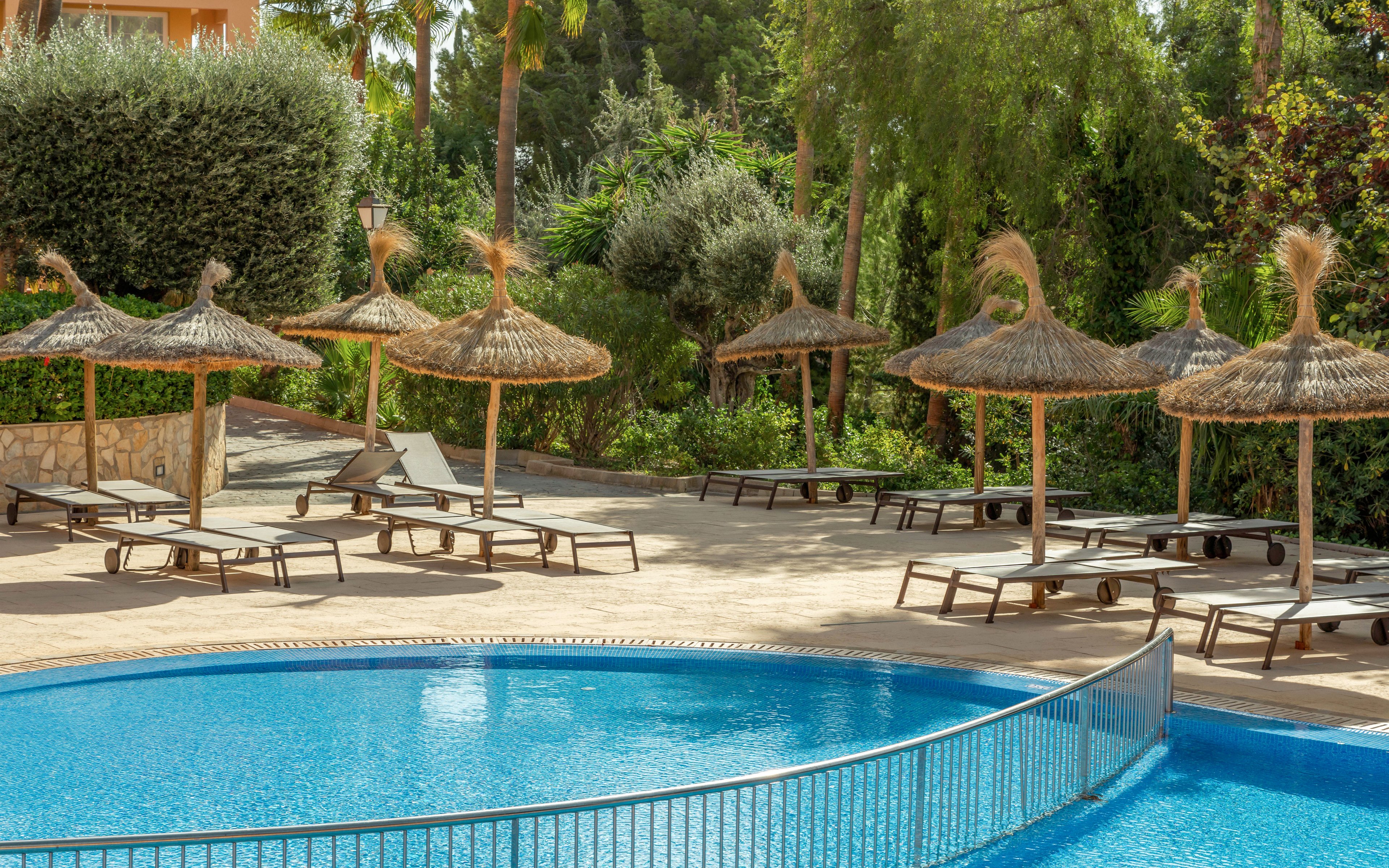 A curved outdoor swimming pool glistens in the foreground, bordered by a low metal fence. Behind the pool, several sun loungers are arranged neatly under straw parasols on a tiled terrace. Lush green trees, shrubs, and palm trees surround the area, creating a secluded resort atmosphere. The scene appears calm and sunny, suggesting a relaxing vacation setting.
