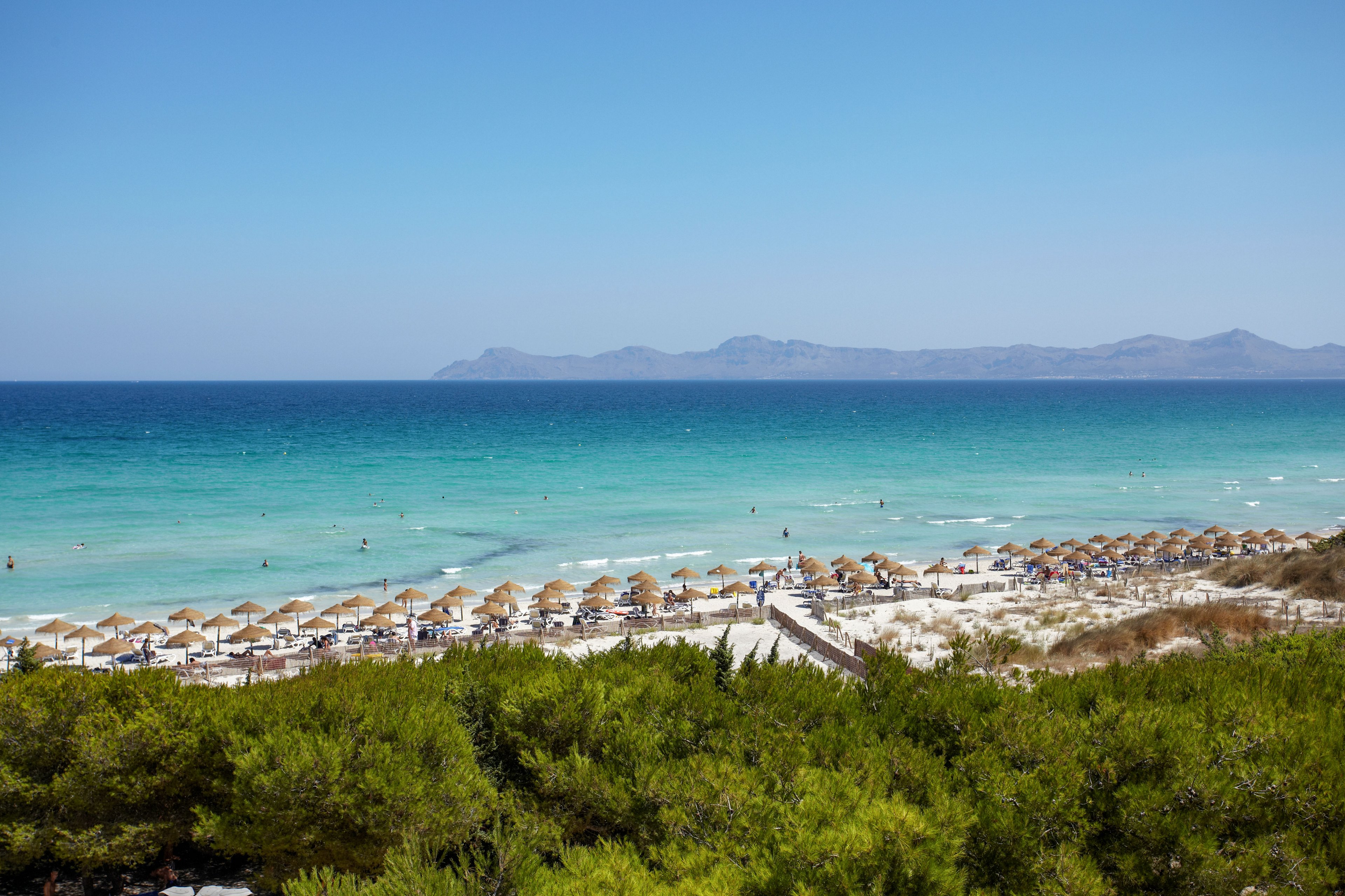 A wide sandy beach is lined with rows of straw parasols and sun loungers facing a calm turquoise sea. People relax near the shoreline and swim in the clear water under a bright blue sky. Green coastal vegetation fills the foreground, while distant mountains rise on the horizon across the bay. The scene evokes a peaceful summer holiday atmosphere on a warm, sunny day.