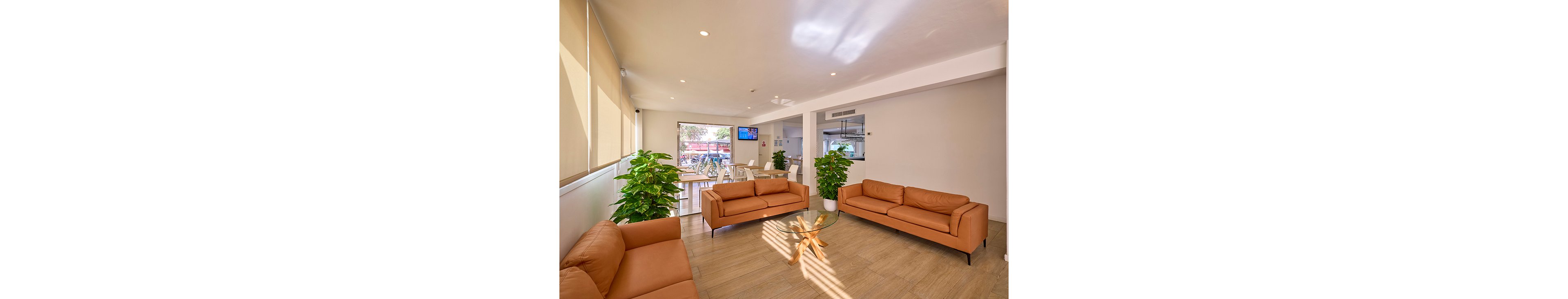 A contemporary lounge area features three tan leather sofas arranged around a small glass coffee table. Large windows and light-colored walls create a bright, airy atmosphere with natural light casting shadows on the wooden floor. Green potted plants add a touch of nature, while a wall-mounted television and dining-style chairs are visible in the background. The space appears clean, welcoming, and suitable for waiting, relaxing, or informal meetings.