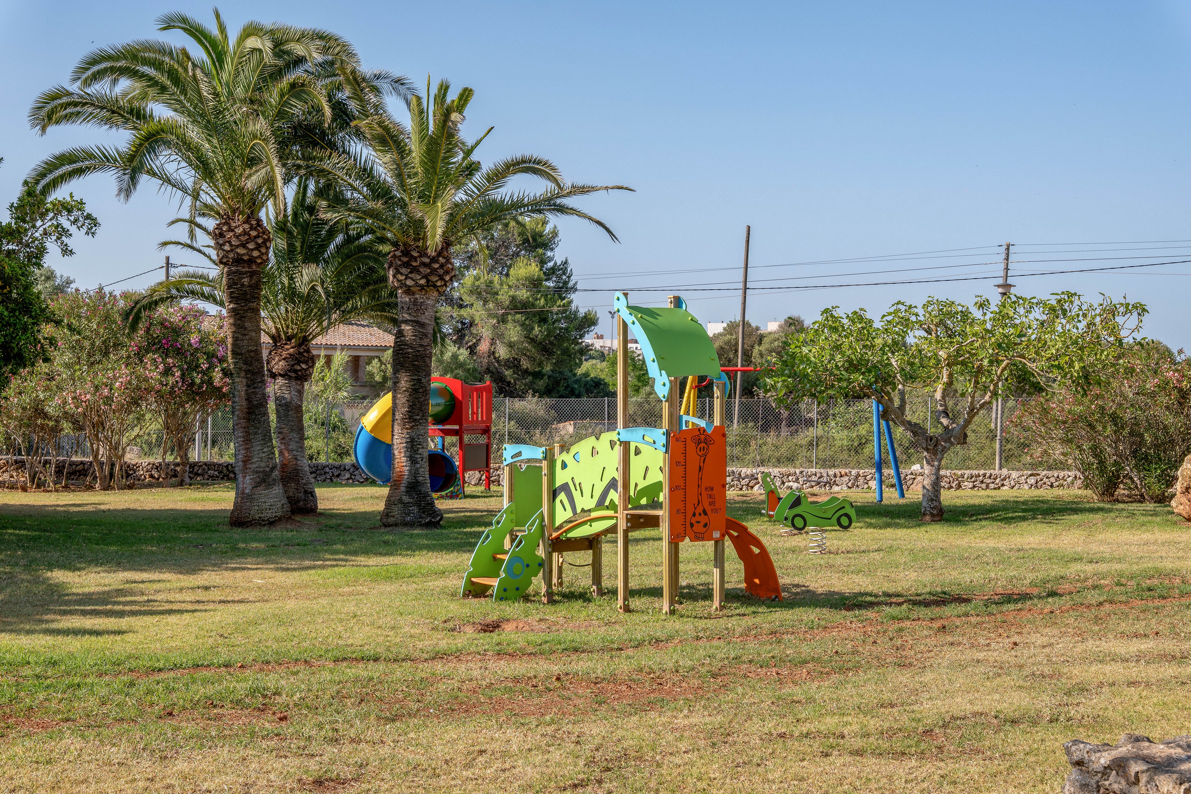 A brightly colored playground structure stands on a grassy field under a clear blue sky. The play area includes a green and orange climbing frame shaped like a caterpillar and a multicolored slide set in the background. Tall palm trees and other greenery surround the playground, giving the park a relaxed, natural atmosphere. No children are present, emphasizing the quiet, peaceful setting.