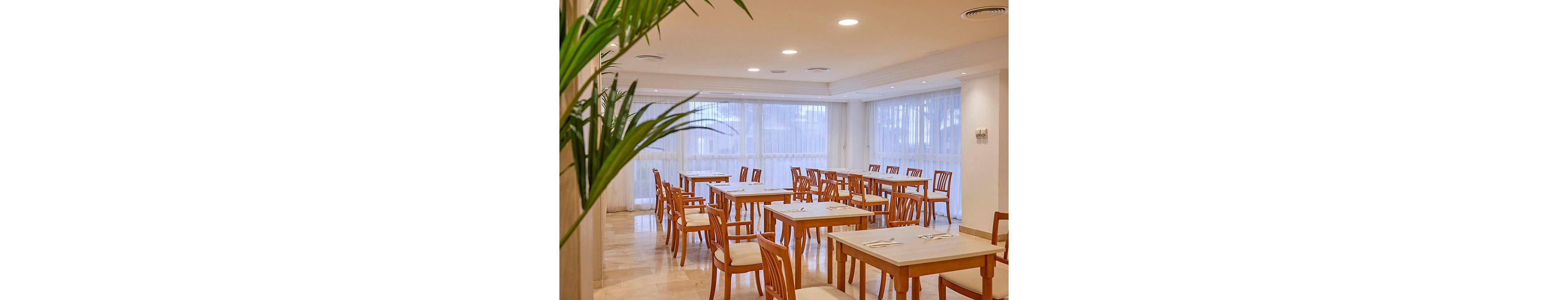 A clean, modern dining room features neatly arranged wooden tables and chairs. The space is brightly lit with recessed ceiling lights and large windows covered by sheer white curtains. Place settings with cutlery are prepared on each table, suggesting readiness for guests. A green indoor plant in the foreground adds a touch of nature to the neutral-toned interior.
