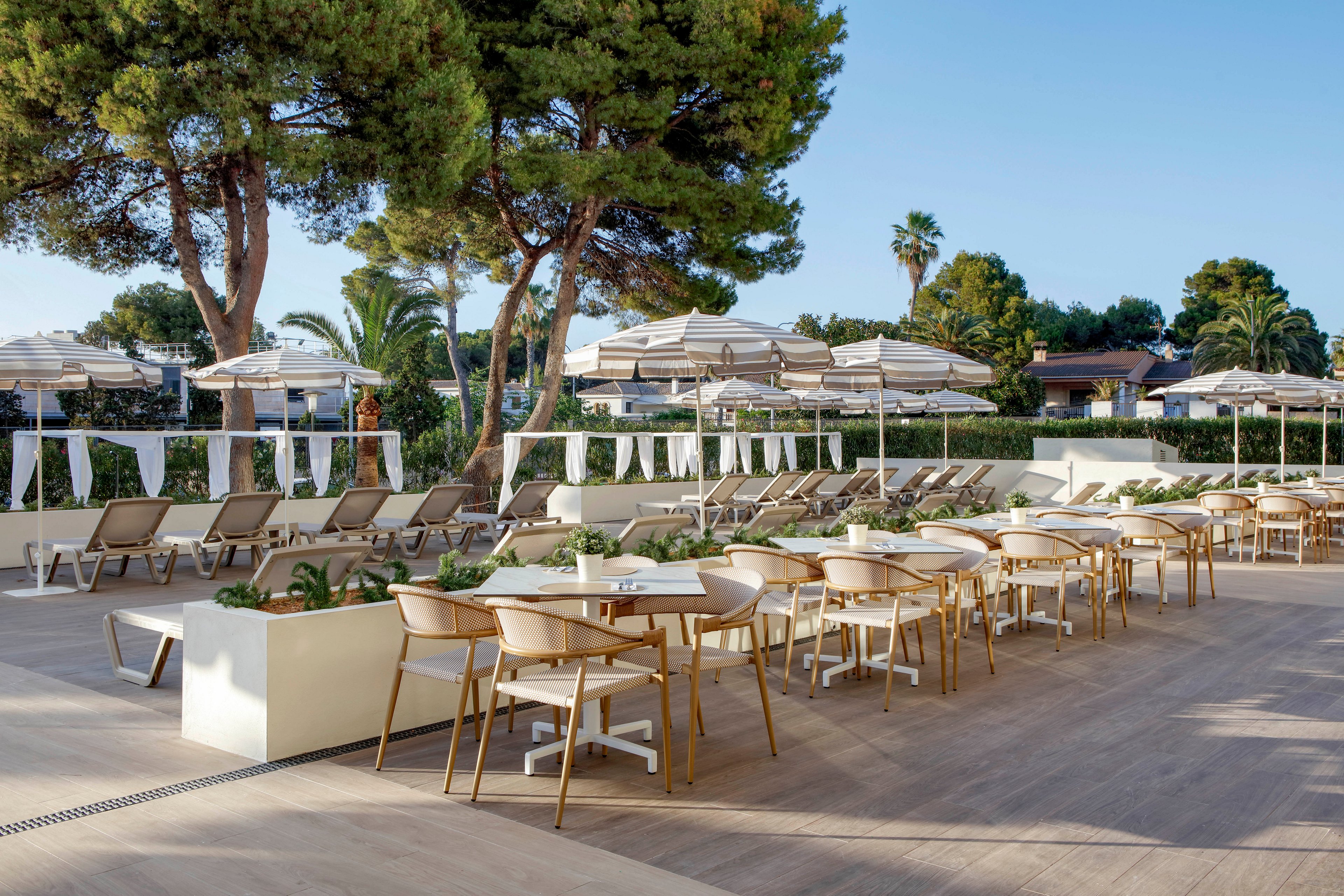 An inviting outdoor terrace at a resort features neatly arranged tables and chairs in the foreground. Behind them, rows of sun loungers with umbrellas line a poolside or deck area, framed by tall trees and palm trees. The scene is bright and sunny, suggesting a relaxing vacation atmosphere. Neutral tones and clean, modern furniture create a calm and contemporary style.