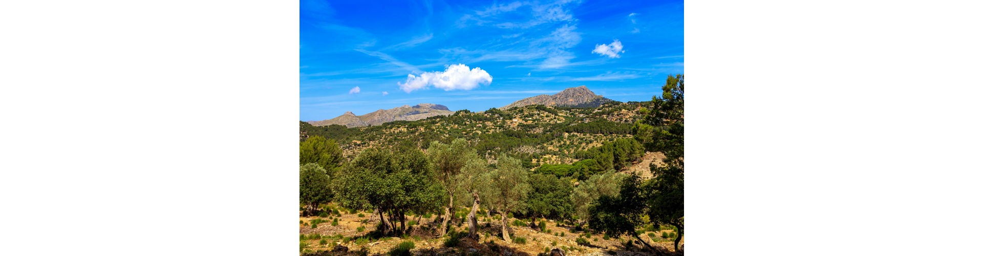 La Reserva Puig de Galatzo in Majorca with waterfalls, wildlife and scenic mountain walking trails