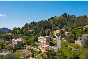 Son Puig Vineyard 
