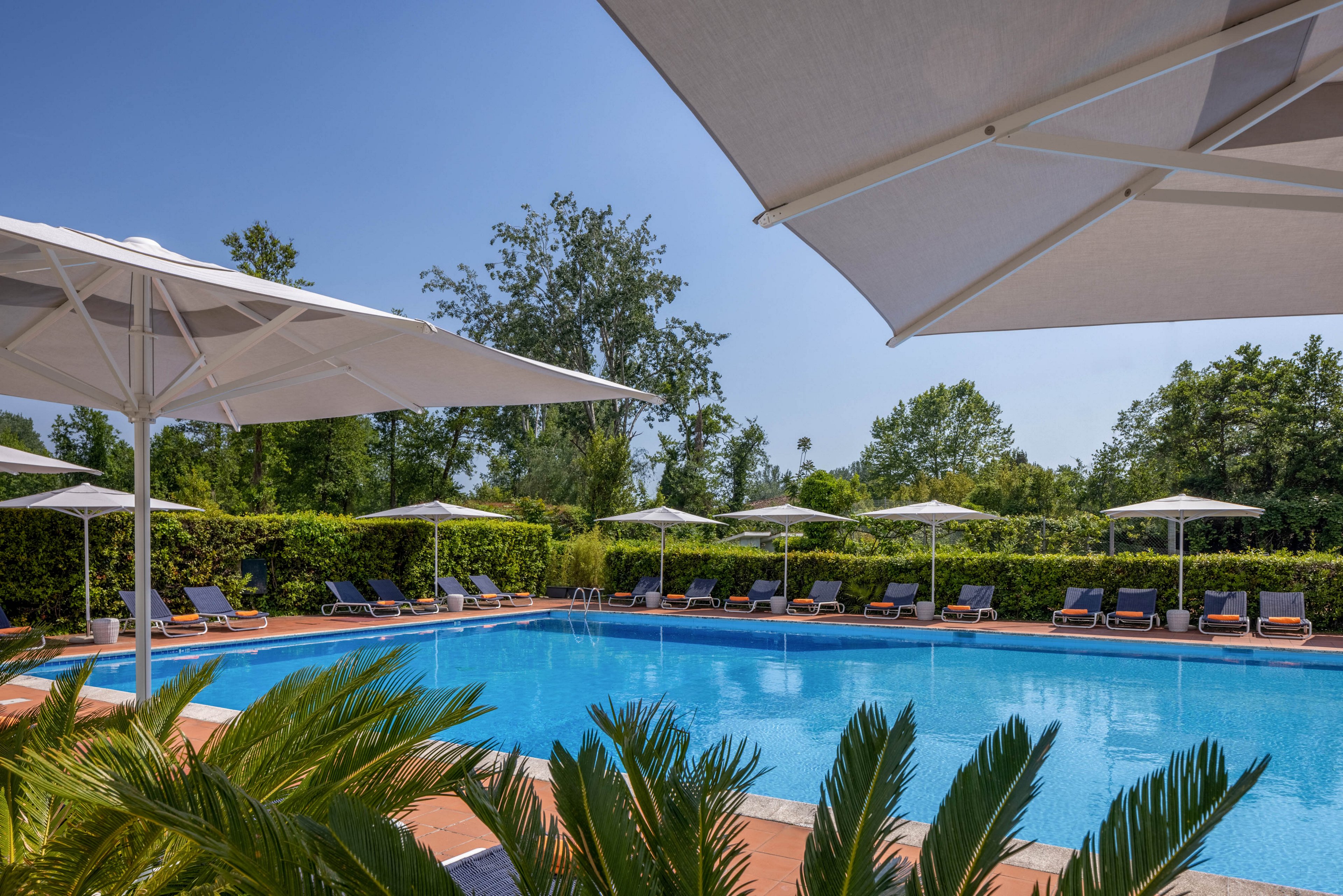A large, inviting outdoor swimming pool is surrounded by numerous lounge chairs and white umbrellas, creating a relaxing atmosphere. The pool area is bordered by lush green hedges and tall trees, offering privacy and a natural backdrop. The clear blue sky and bright sunlight enhance the tranquil, vacation-like mood. Palm fronds in the foreground add a tropical touch to the scene.