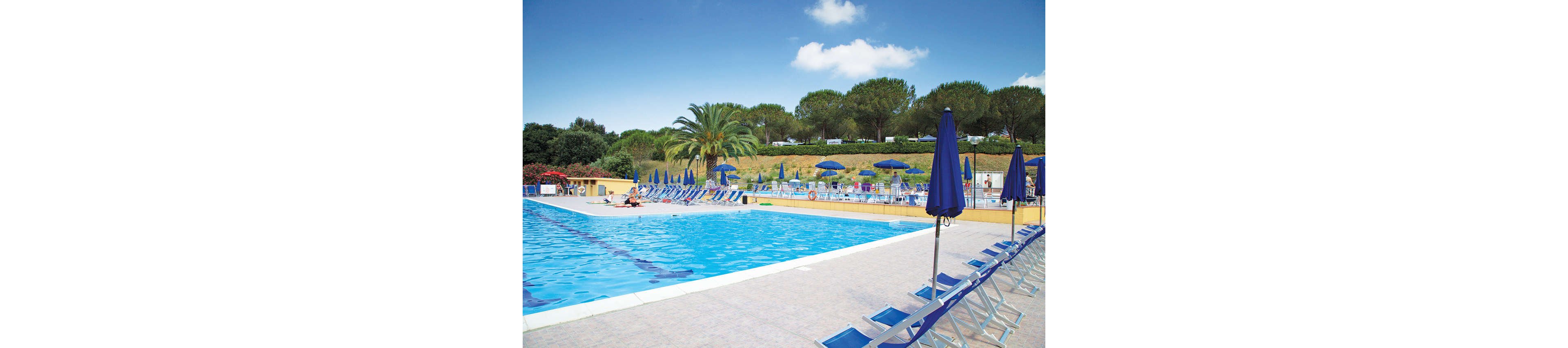 A large outdoor swimming pool is surrounded by rows of blue sun loungers and umbrellas. A few people relax by the poolside under the bright daylight sky. Tall trees and a palm tree form a green backdrop behind the pool area. The scene suggests a peaceful holiday resort atmosphere with clear water and open space.