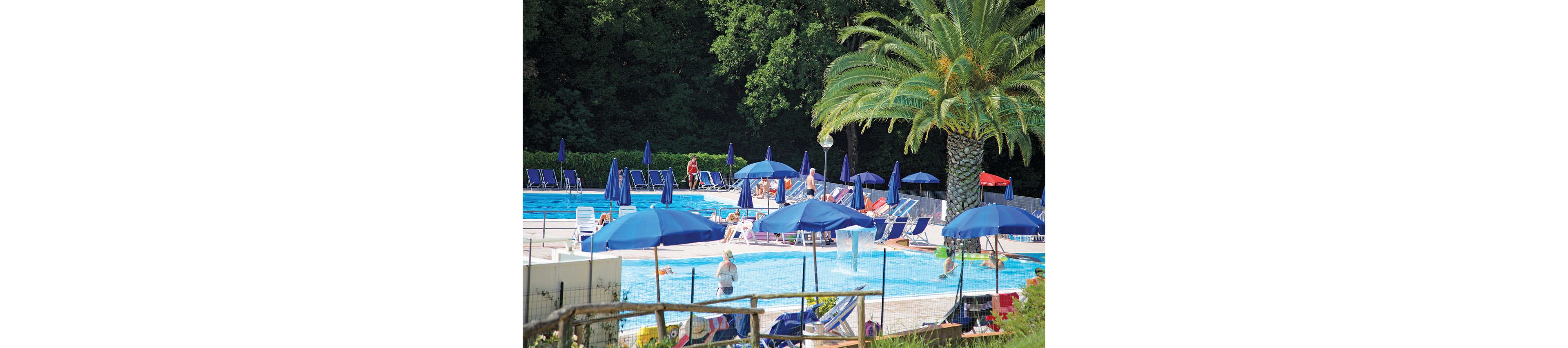 An outdoor resort swimming pool is surrounded by numerous blue sun umbrellas and lounge chairs. People relax on the loungers and stand in the shallow water, enjoying a warm, sunny day. A tall palm tree and dense green foliage frame the pool area, creating a tropical atmosphere. The scene suggests a leisurely vacation setting with families and couples by the water.