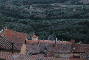 Parco Archeominerario di San Silvestro