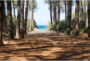Tomboli di Cecina Nature Reserve
