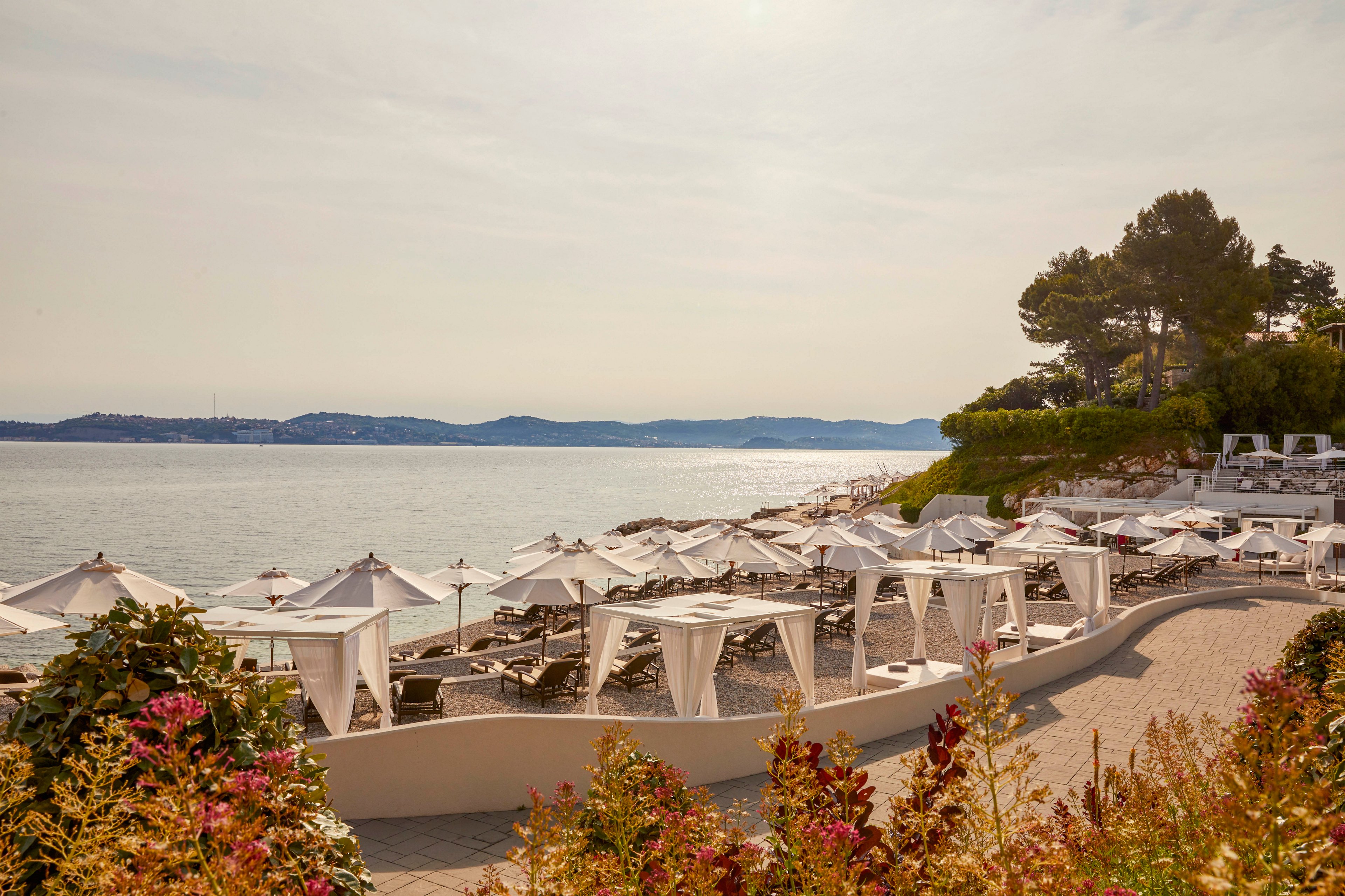 A serene beachfront resort terrace features rows of white umbrellas and lounge chairs overlooking calm waters. The setting is tranquil, with soft sunlight casting a warm glow over the scene. The area is landscaped with flowering plants and bordered by a gently curving walkway. No people are visible, emphasizing a peaceful, relaxing atmosphere. The distant shoreline and gentle hills complete the coastal view.