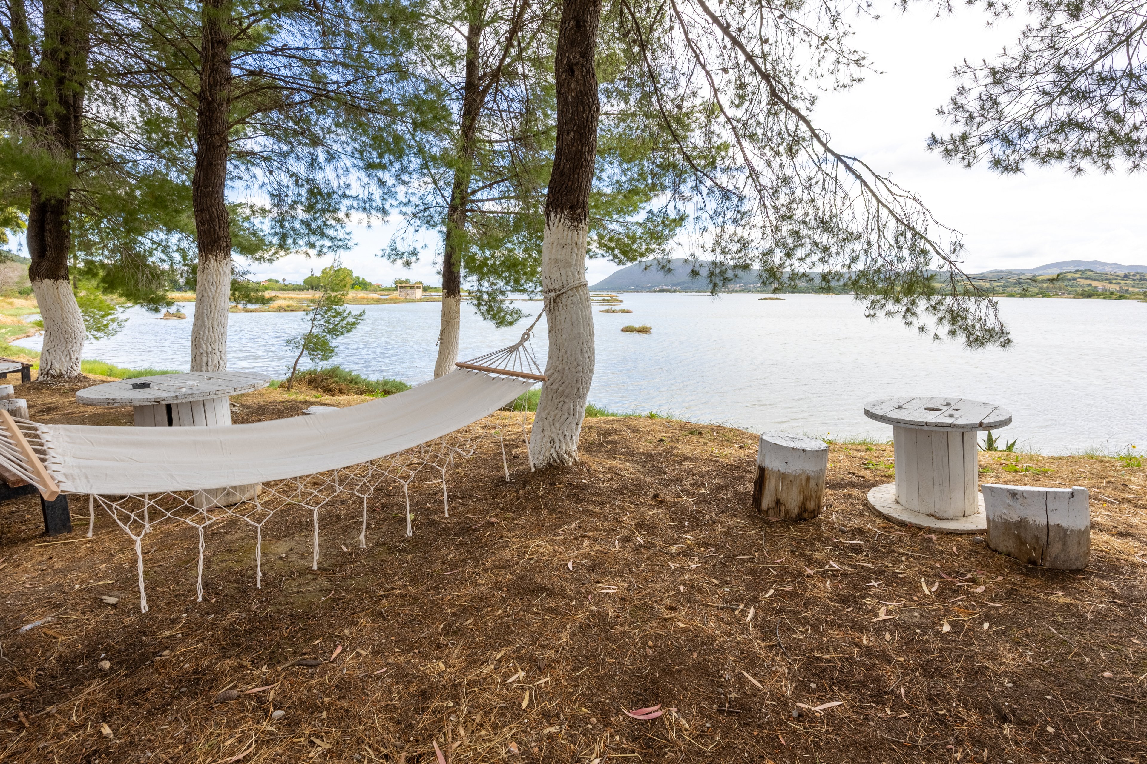 A white hammock is strung between pine trees beside a calm lakeside. The trunks of the trees are painted white at the base, creating a distinctive contrast with the brown ground. Nearby, rustic wooden cable-spool tables and tree-stump seats form a simple outdoor seating area. In the background, the lake stretches toward distant hills under a bright, lightly clouded sky, evoking a peaceful, secluded retreat.