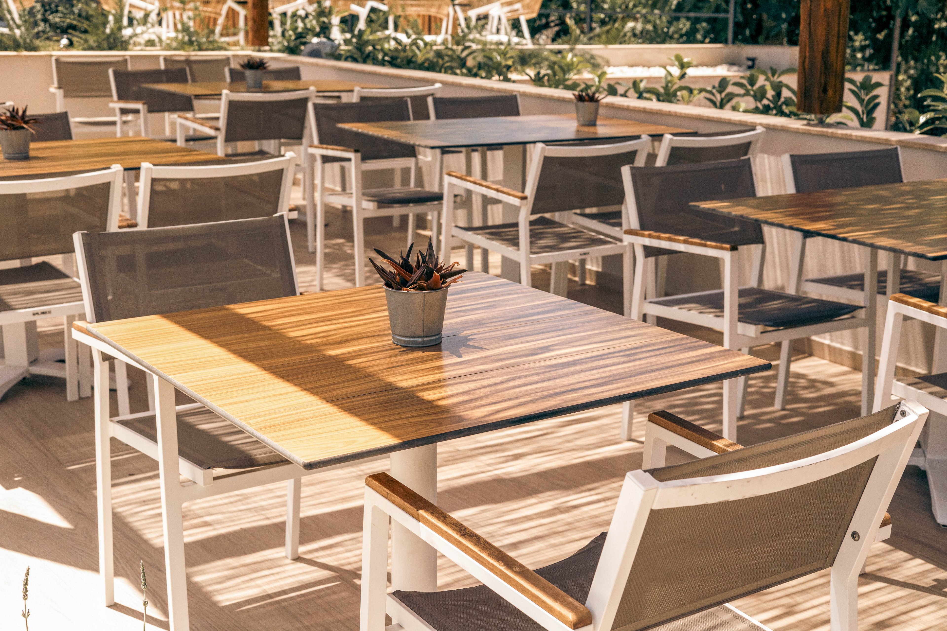 An outdoor café terrace features several empty wooden tables with modern white-framed chairs neatly arranged. Warm sunlight casts striped shadows across the tabletops and floor, creating a relaxed atmosphere. Small potted plants sit in the center of each table, adding a touch of greenery to the minimalist design. In the background, more seating and low planters define the open, inviting space.