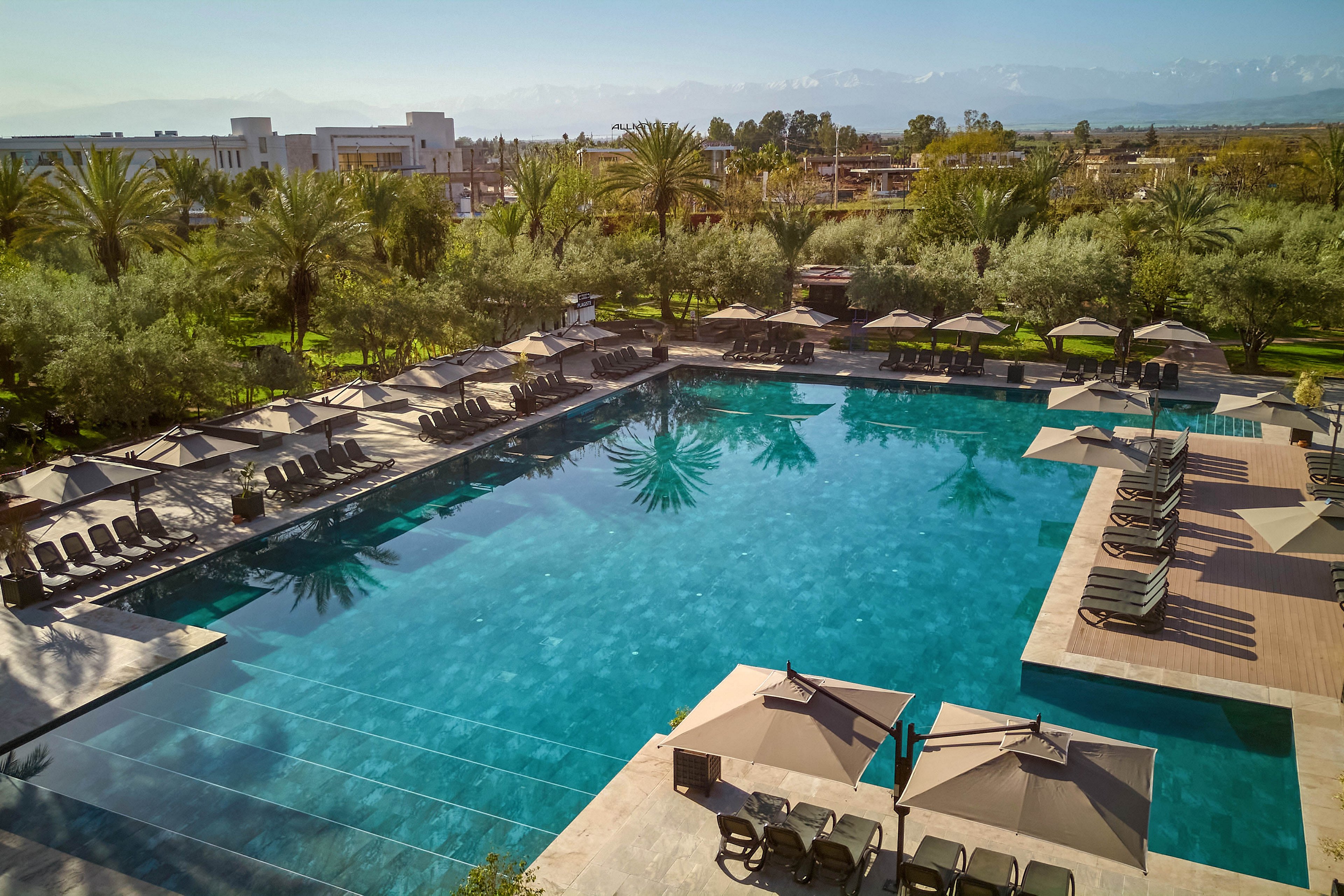 A large, clear blue swimming pool is surrounded by numerous sun loungers and umbrellas at an upscale resort. Palm trees and lush greenery frame the pool area, creating a tropical oasis atmosphere. Modern buildings and landscaped grounds are visible in the background under a bright, sunny sky. The scene suggests relaxation, vacation leisure, and outdoor comfort in a spacious resort setting.