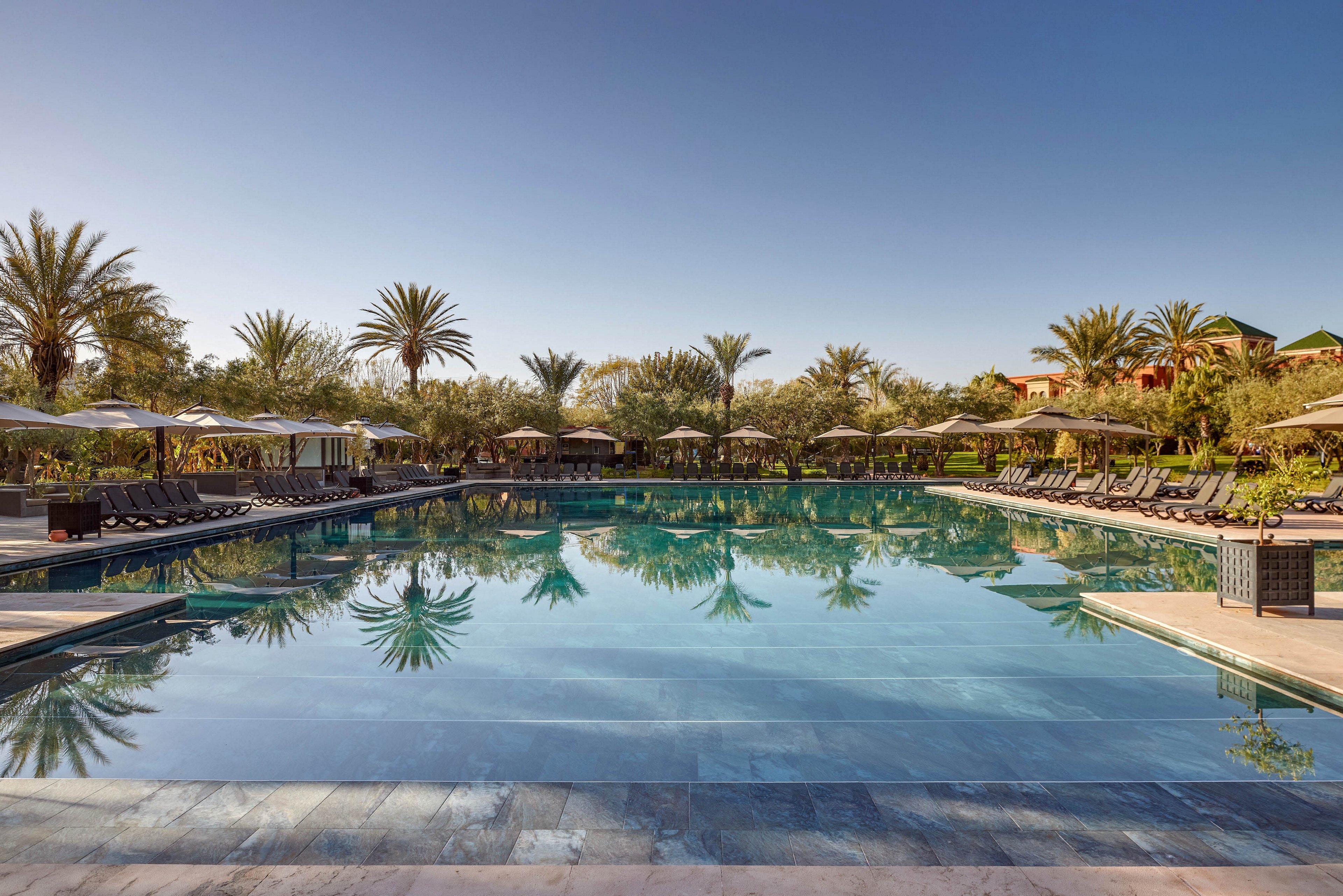 A large, tranquil swimming pool reflects surrounding palm trees and a clear blue sky at a luxury resort. Sun loungers and umbrellas line both sides of the pool, suggesting a relaxing vacation setting. The scene is calm and empty of people, emphasizing serenity and leisure. Warm natural light and clean architectural lines create an inviting, upscale atmosphere.
