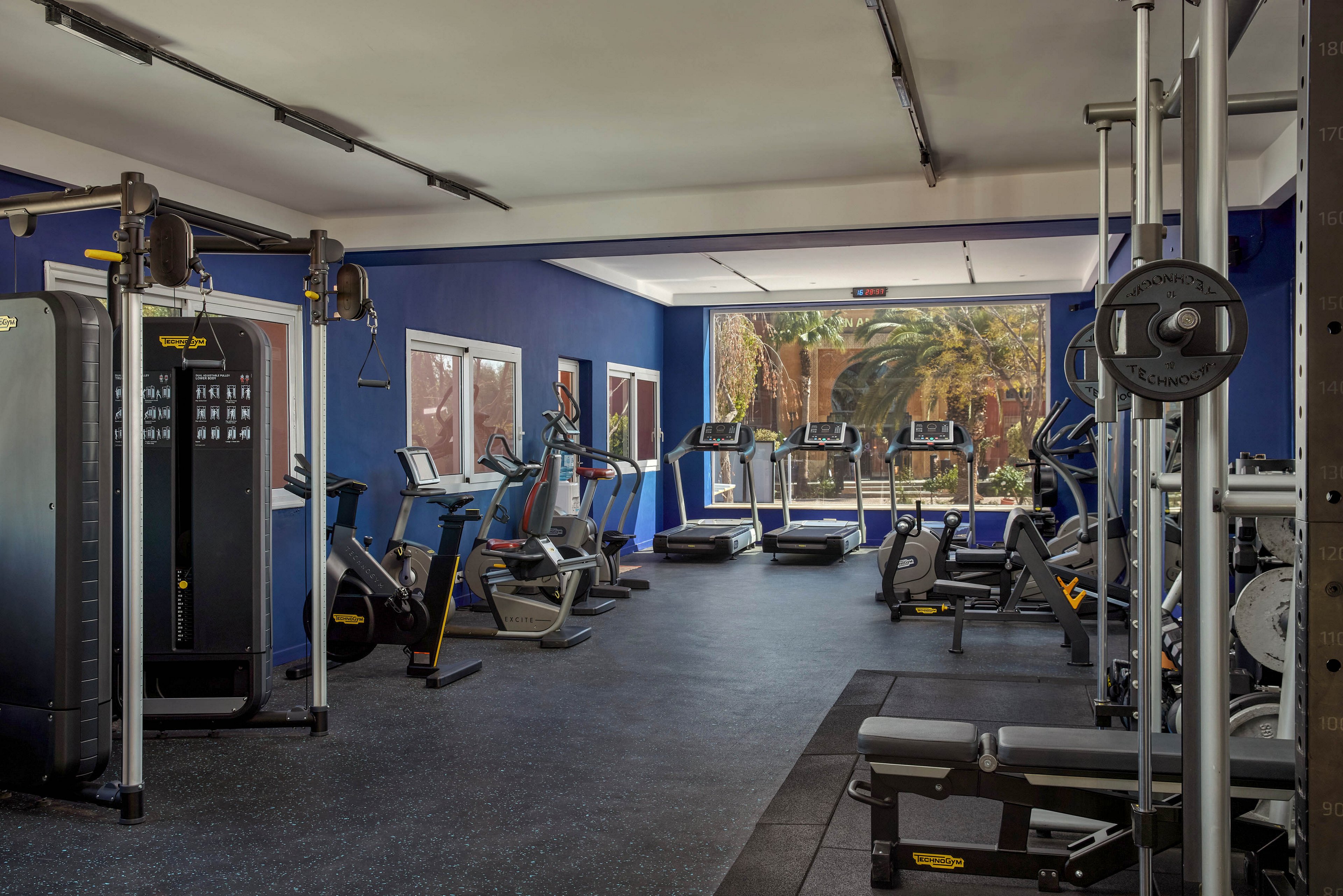 Spacious indoor gym featuring various strength and cardio machines. Treadmills and stationary bikes are lined up near large windows overlooking trees outside. Weight benches, free weights, and resistance machines occupy the foreground. The room has blue accent walls, rubber flooring, and bright natural light creating a clean, professional workout environment.