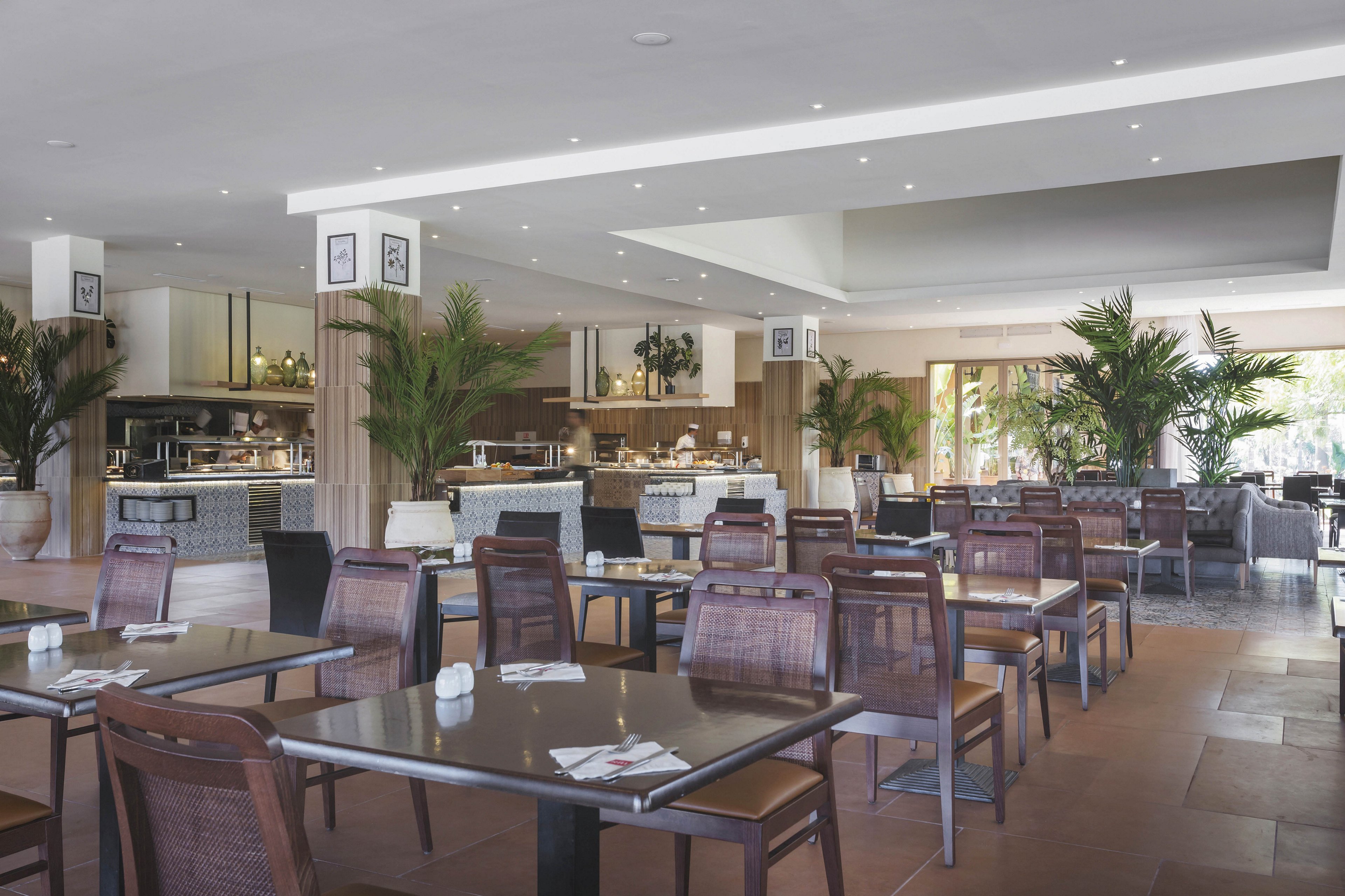 The image shows a spacious restaurant interior featuring neatly arranged tables and chairs. Large potted plants and natural light from windows create a fresh, inviting atmosphere. The setting includes a buffet area in the background, with contemporary decor and warm earth tones. No visible people or explicit numeric values are present.