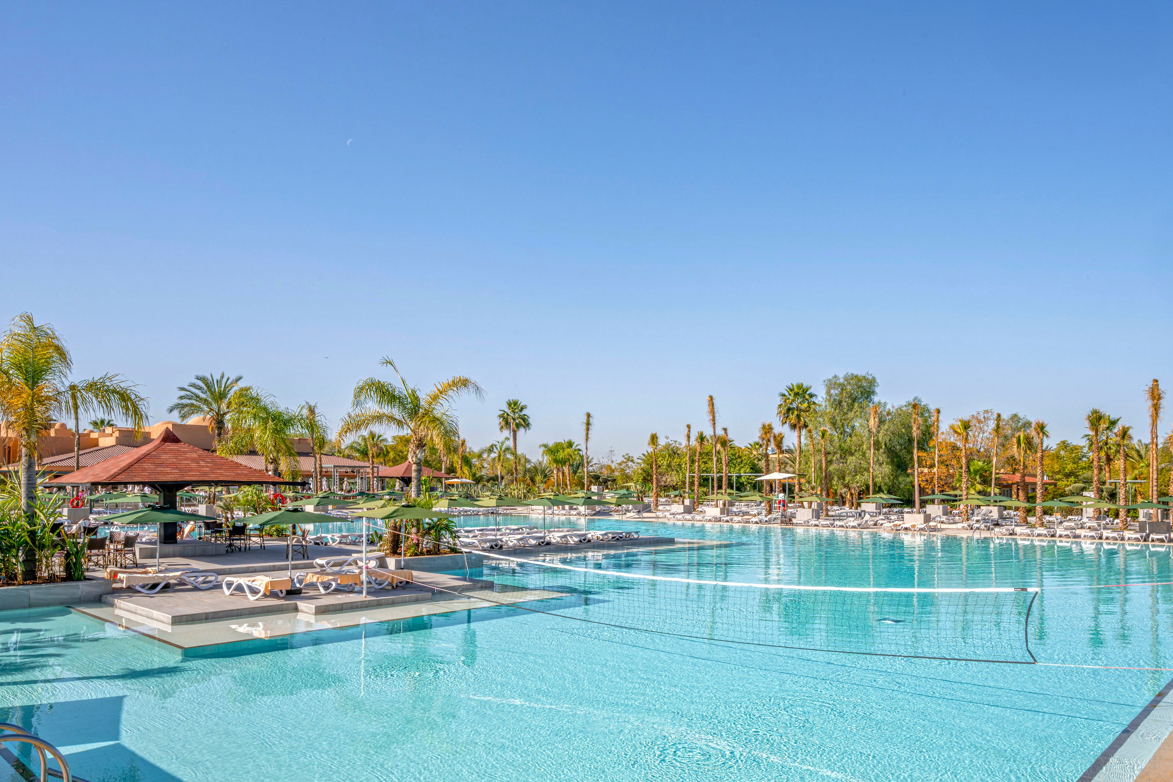 A large outdoor swimming pool is surrounded by numerous white loungers and palm trees under a clear blue sky. The setting appears to be a tropical or warm-climate resort, with a shaded pavilion and lush landscaping. The pool features a volleyball net, suggesting recreational activities. The overall mood is relaxed and inviting, with bright, natural lighting and a tranquil atmosphere.