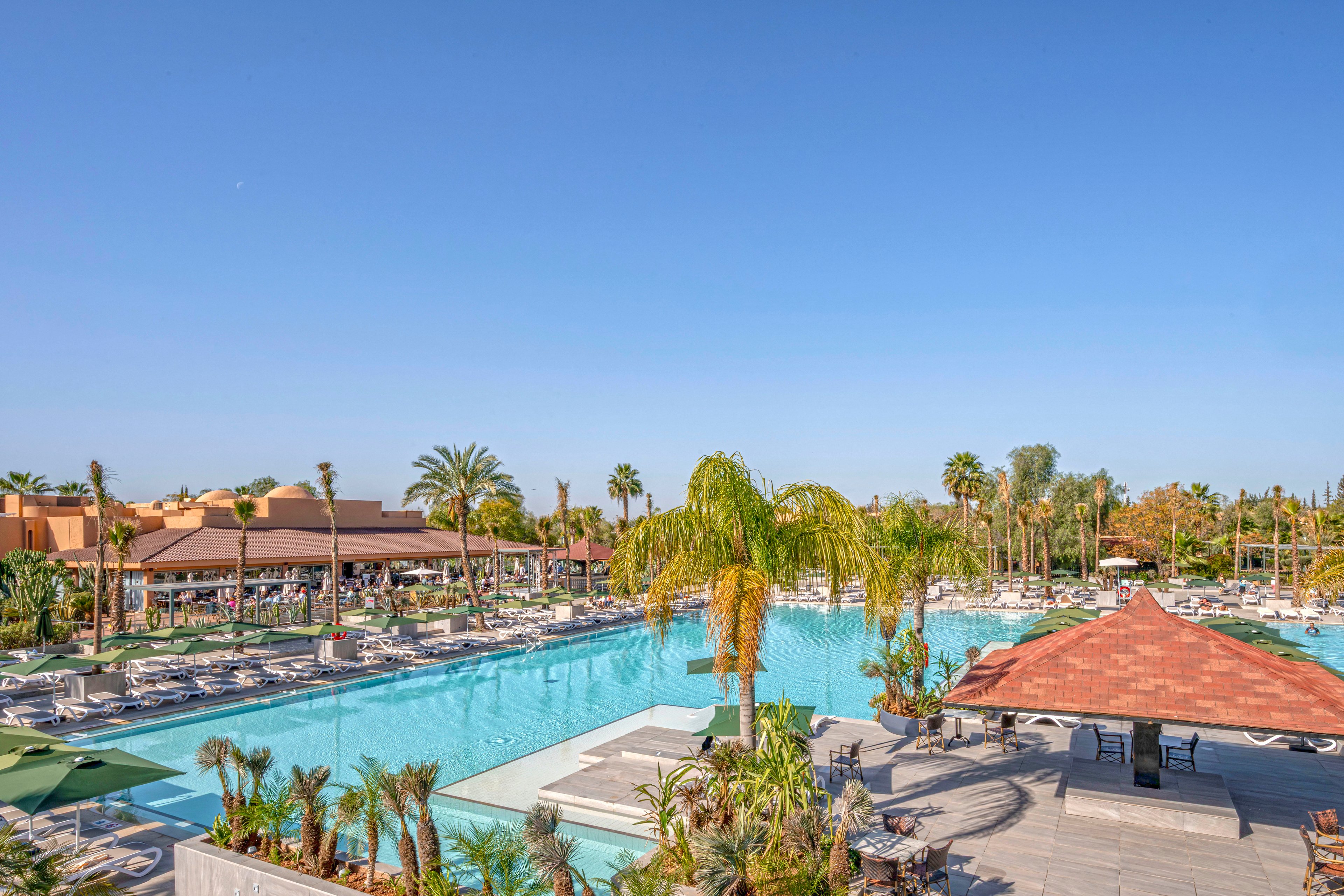 The image features a large outdoor swimming pool surrounded by numerous lounge chairs and umbrellas. Palm trees and lush greenery create a tropical atmosphere, while a poolside pavilion with a red roof adds architectural interest. The setting is bright and sunny, with clear blue skies and a relaxed vacation mood. No visible text or numeric values are present in the image.