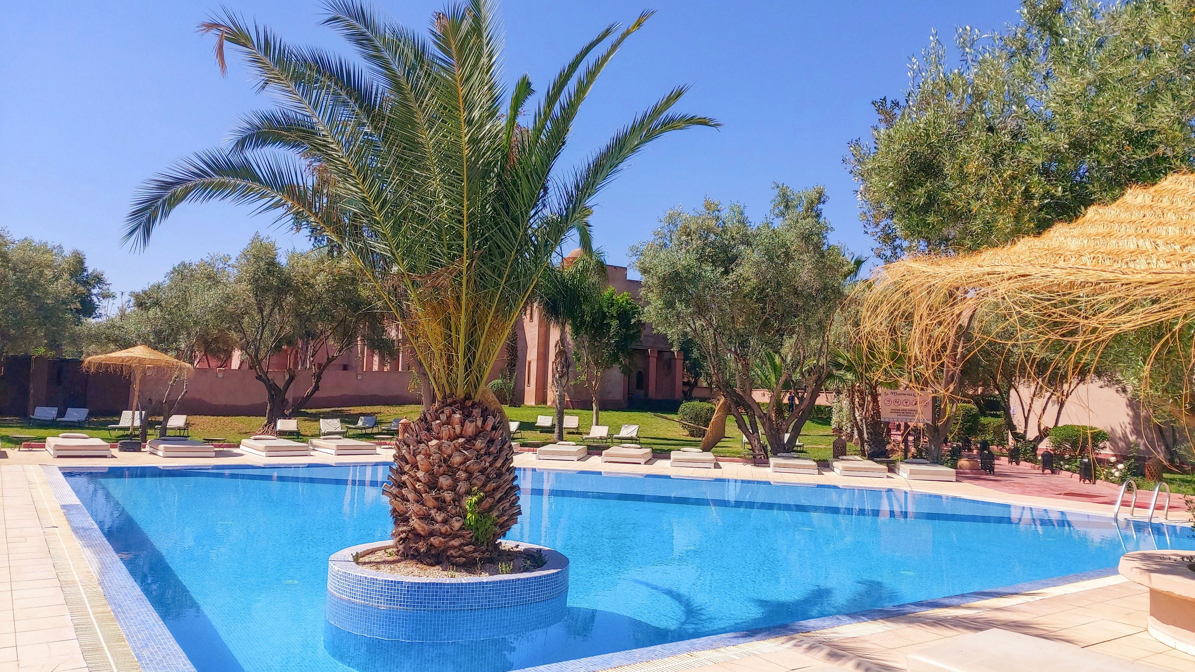 A bright outdoor swimming pool features a tall palm tree planted on a circular island in the center. Sun loungers line the poolside, facing neatly trimmed lawns and low, warm-colored buildings in the background. The sky is clear and blue, suggesting a sunny, relaxing vacation atmosphere. Trees and a thatched shade structure add a touch of tropical style to the tranquil setting.