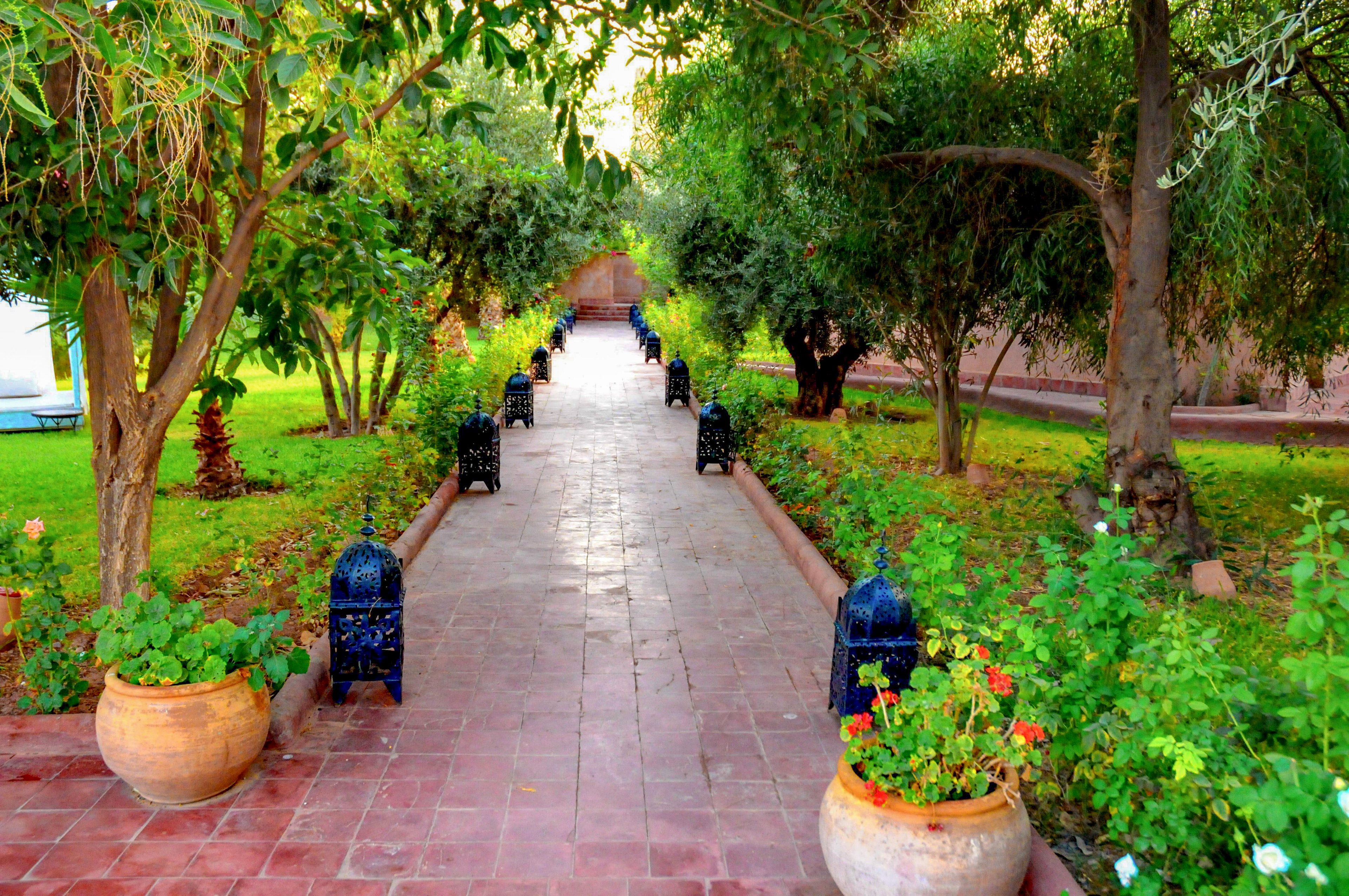 A tiled pathway runs through a lush green garden, flanked by trees and shrubs on both sides. Decorative lanterns are evenly spaced along the edges of the walkway, adding a touch of traditional charm. Large terracotta pots filled with flowering plants sit near the path, enhancing the vibrant, colorful scene. The overall atmosphere is peaceful and inviting, suggesting a tranquil outdoor retreat.