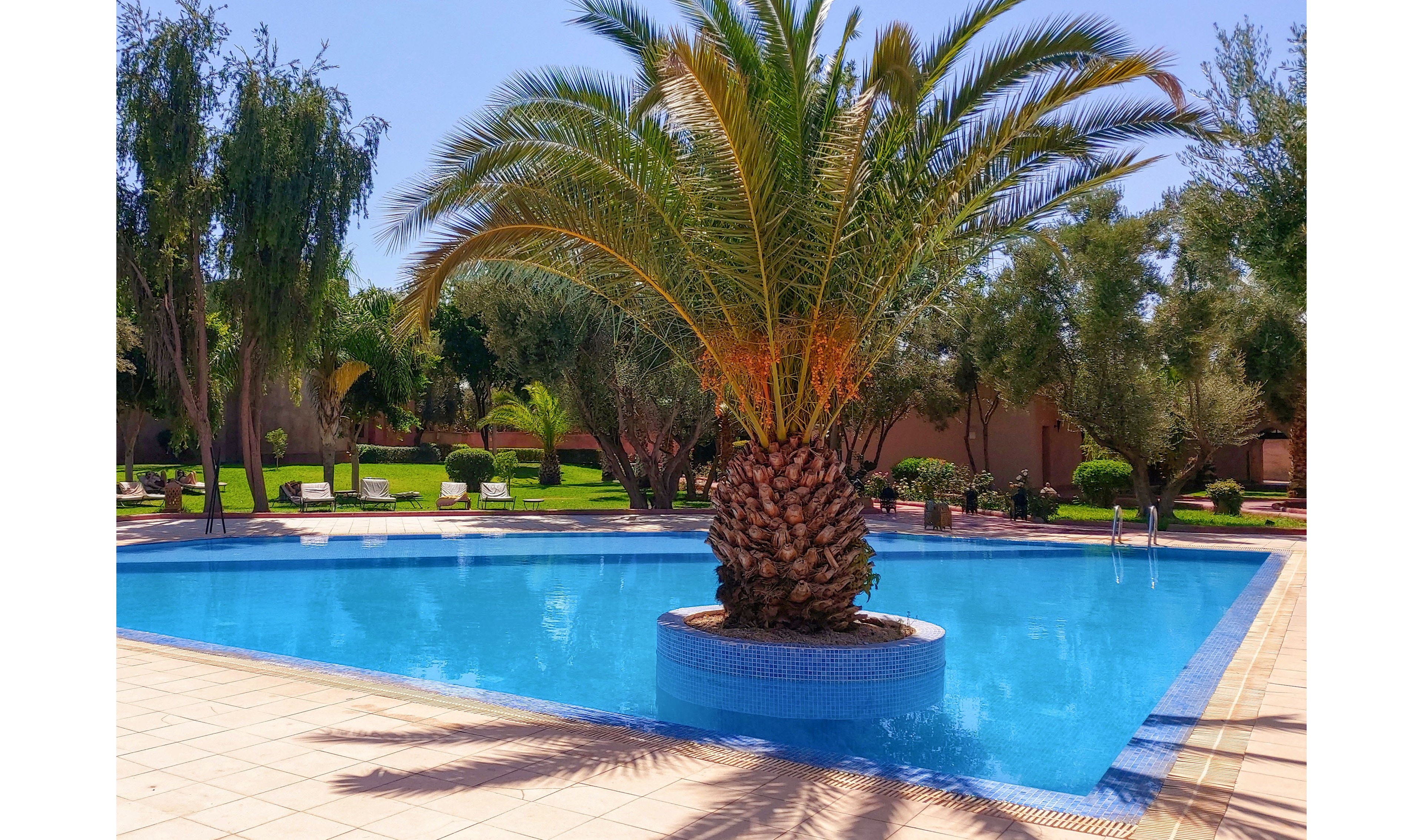 A bright blue swimming pool features a large palm tree planted on a circular island in the center. The pool is surrounded by tiled decking and metal ladders for easy access. In the background, green lawns, trees, and lounge chairs create a relaxing resort atmosphere. Clear sunlight and vivid colors suggest a warm, inviting vacation setting.