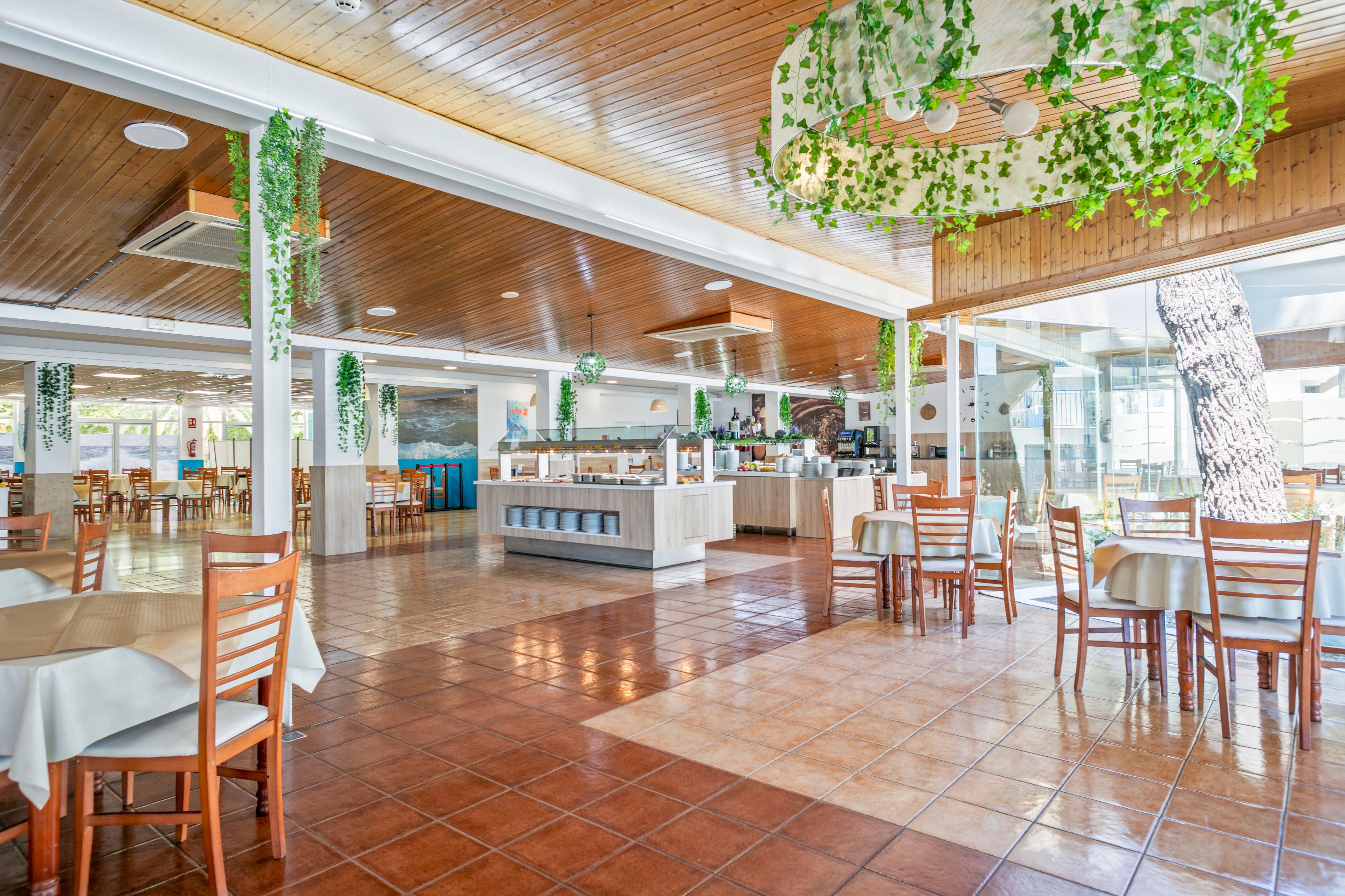 Spacious restaurant interior with neatly arranged wooden tables and chairs. The setting features a central buffet station and large windows that let in abundant natural light. Green hanging plants and a wooden ceiling add a fresh, natural touch to the space. The tiled floor and neutral tablecloths create a clean, welcoming dining atmosphere.