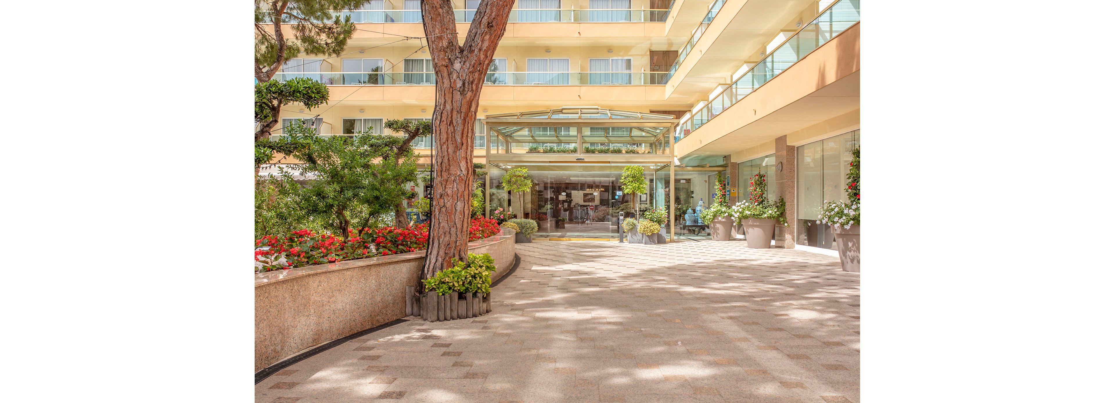 A bright hotel entrance is framed by a wide stone walkway and lush greenery. Flower beds and large potted plants line the path, adding vibrant color to the scene. The building features multiple balconies with glass railings and large windows above the glass-covered lobby entrance. The overall atmosphere is warm and inviting, suggesting a pleasant vacation or resort setting.