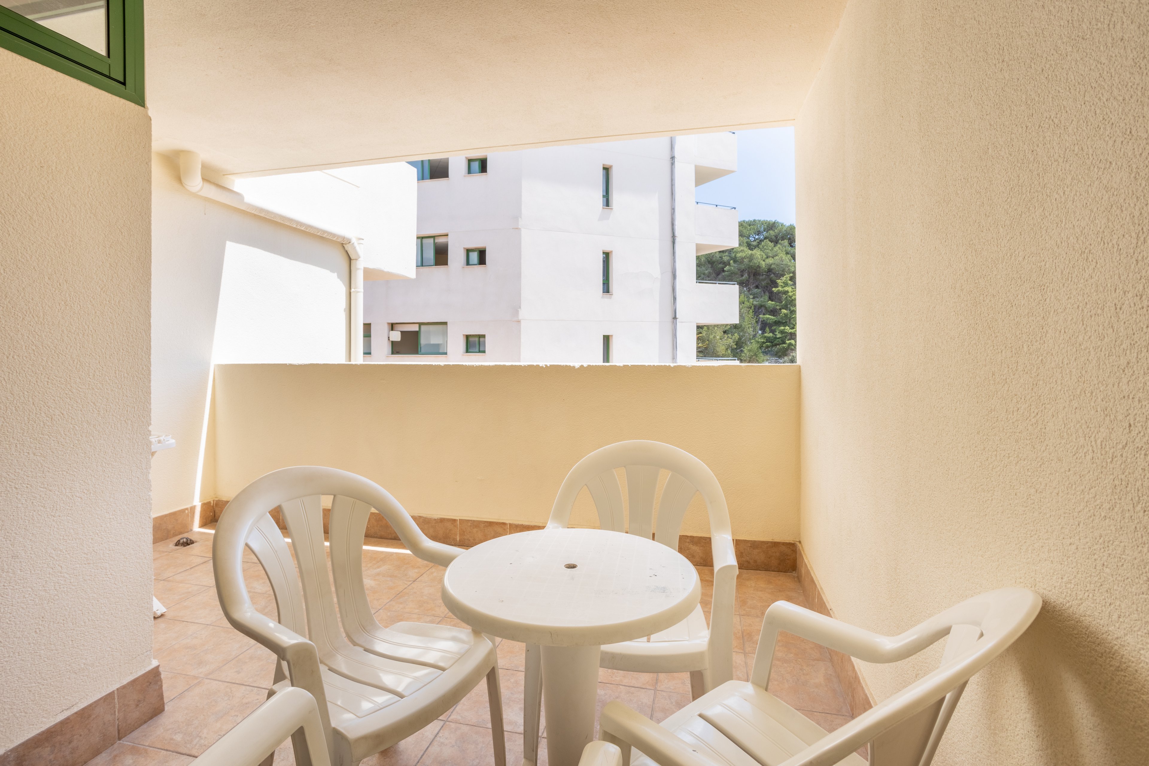 Festival Village Apartments