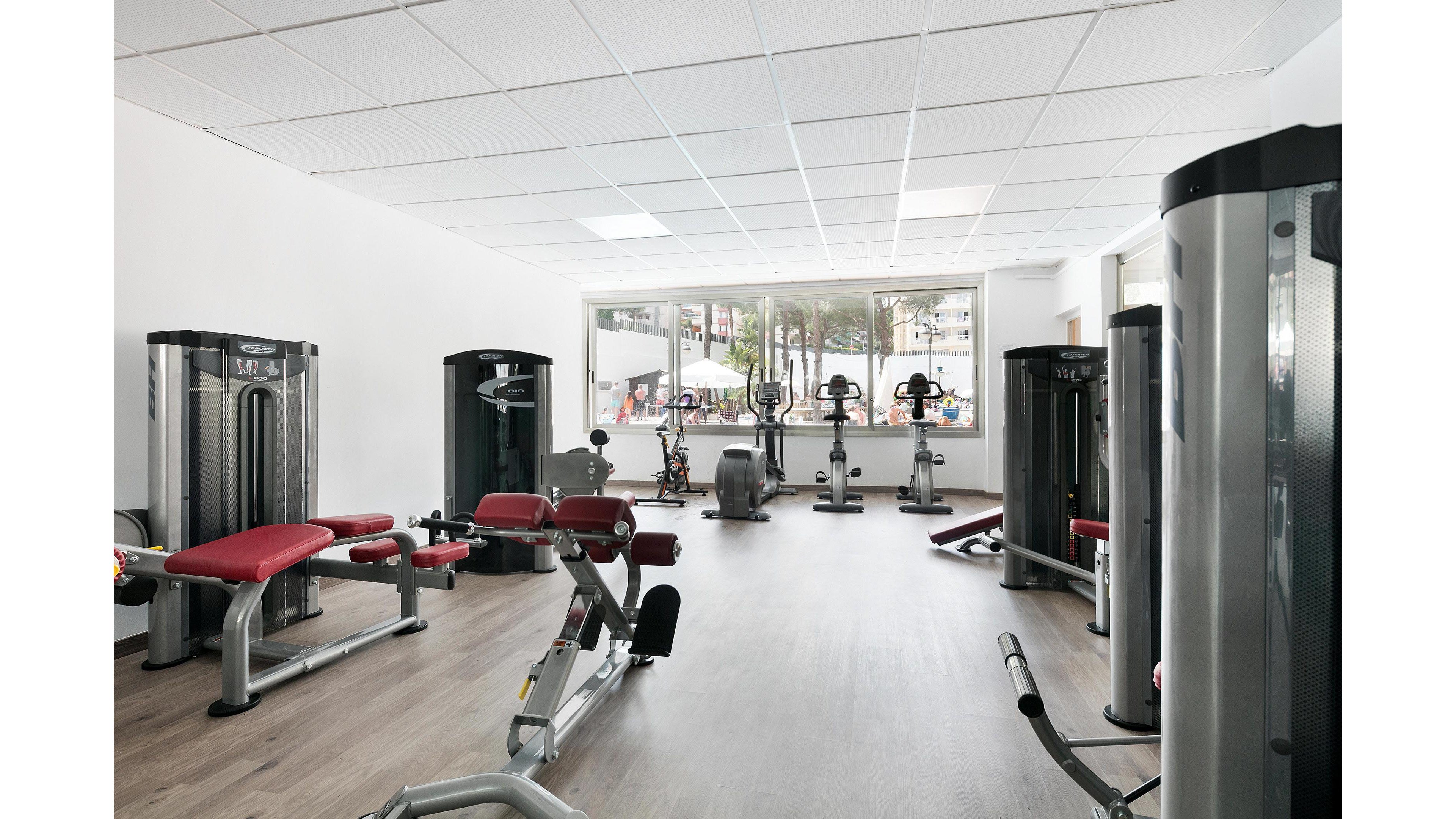 Best Oasis Park & Portaventura Theme Park