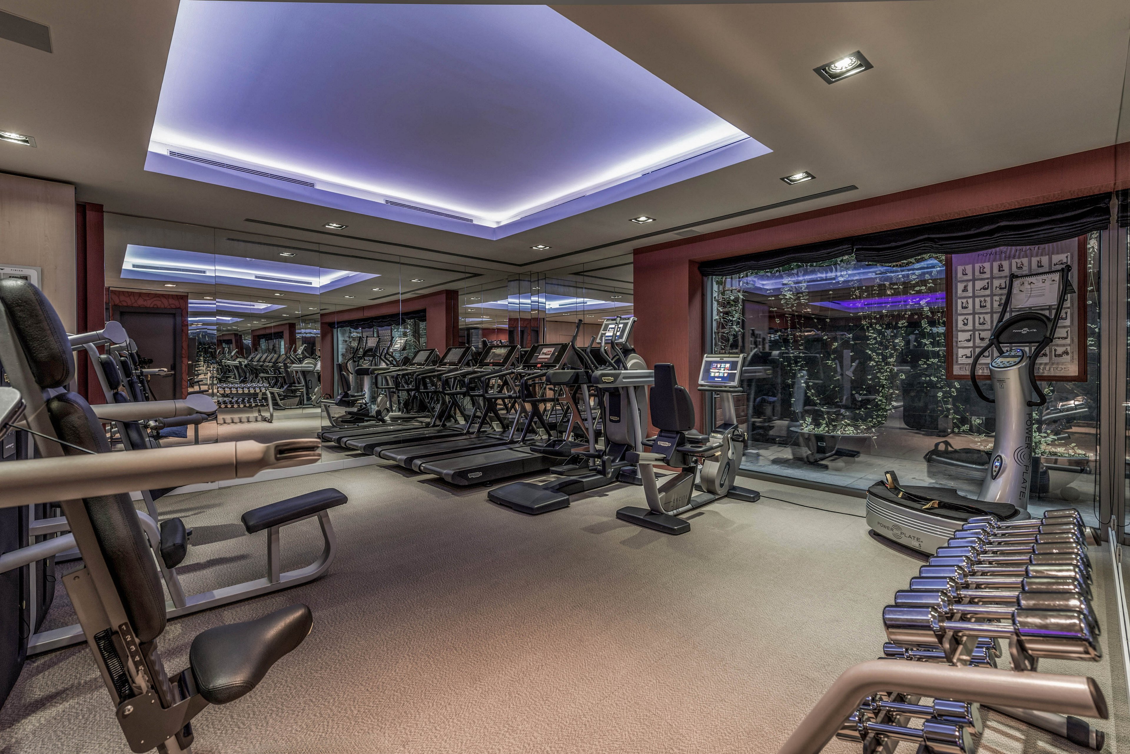 A spacious indoor gym features multiple treadmills, ellipticals, and strength machines arranged in neat rows. Large wall mirrors visually expand the room and reflect the exercise equipment. A rack of dumbbells lines the right side, while a window reveals greenery outside. Soft ceiling lighting with a purple hue creates a modern, upscale workout atmosphere.