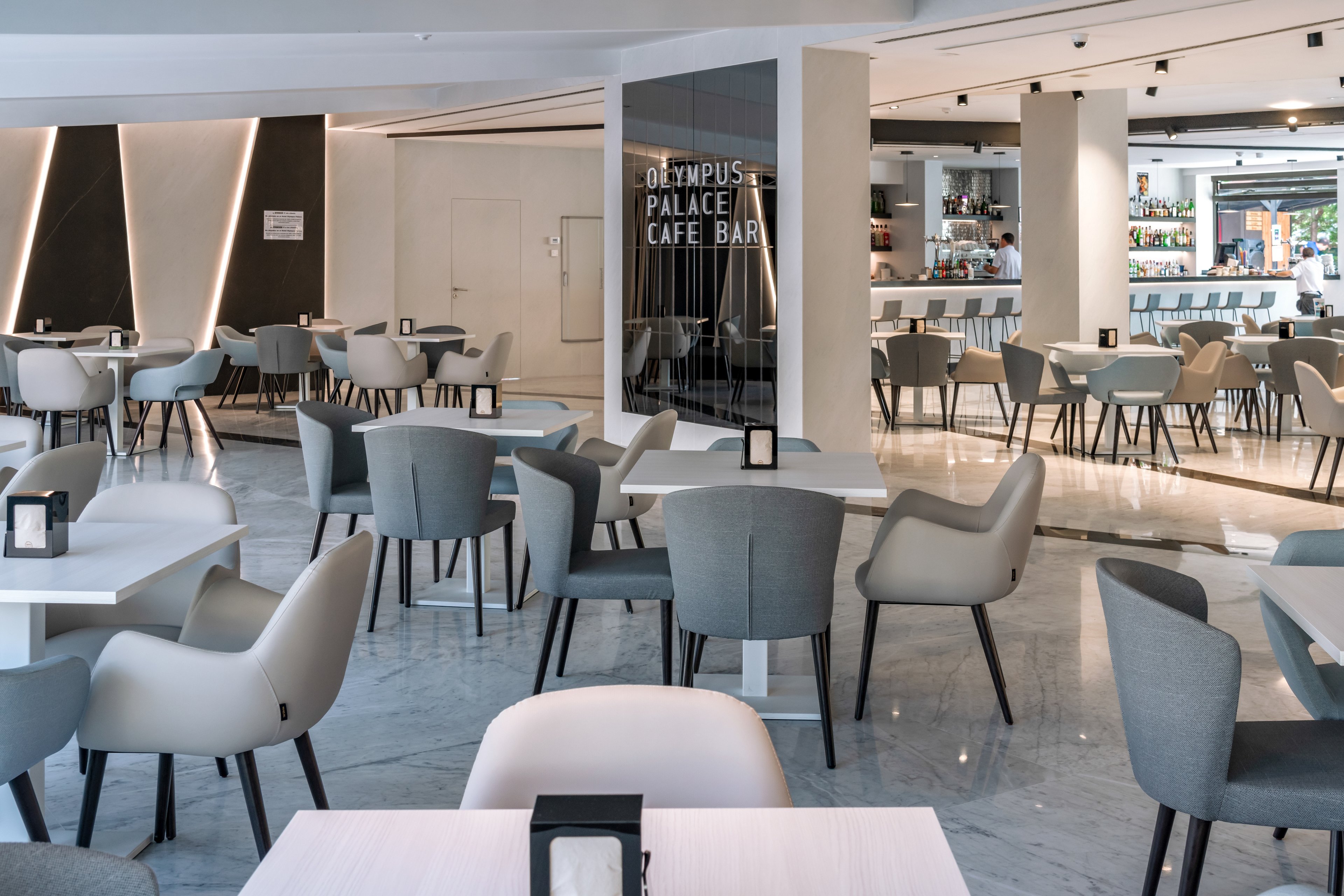 Hotel Olympus Palace