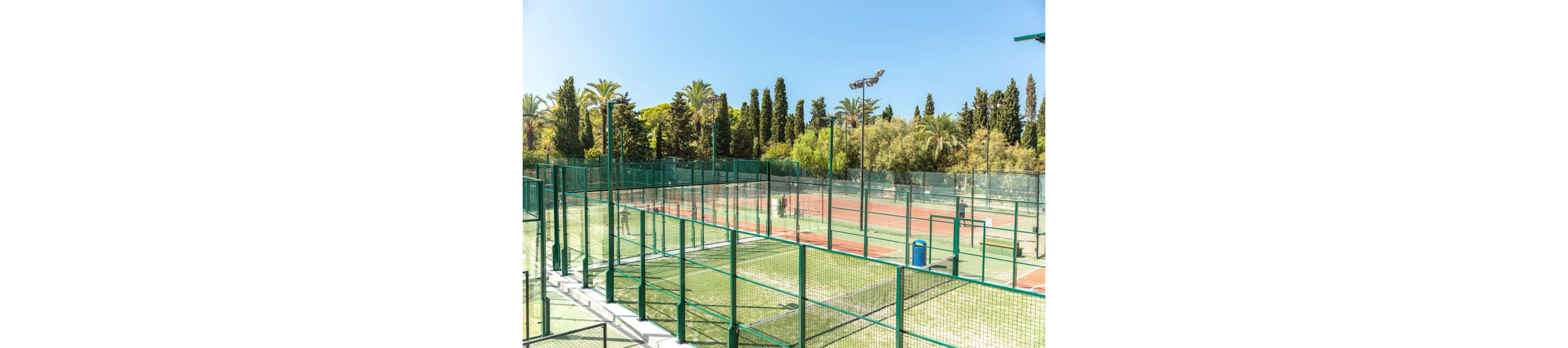 An outdoor sports complex features multiple fenced tennis and paddle courts under a clear blue sky. The courts are surrounded by tall green trees and palm trees, creating a lush, resort-like environment. Bright sunlight casts sharp shadows on the playing surfaces and netted fences. The scene appears calm and empty, emphasizing the well-maintained facilities and warm weather setting.