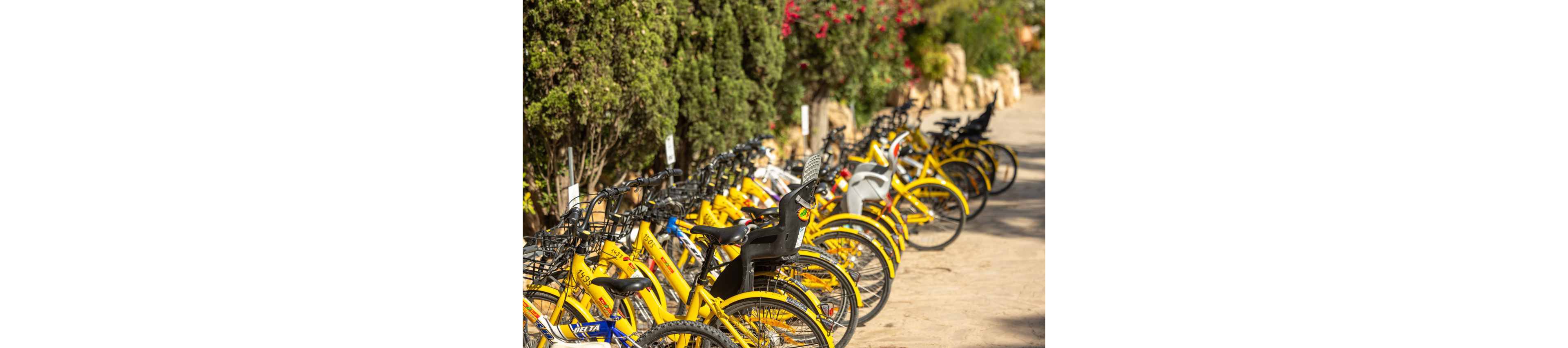 A long row of bright yellow bicycles is parked neatly along a sunlit path. The bikes appear to be part of a rental or sharing service, with some fitted with child seats. Lush green trees and flowering bushes line the background, creating a pleasant outdoor setting. The warm light and vibrant colors suggest a leisurely, vacation-like atmosphere.