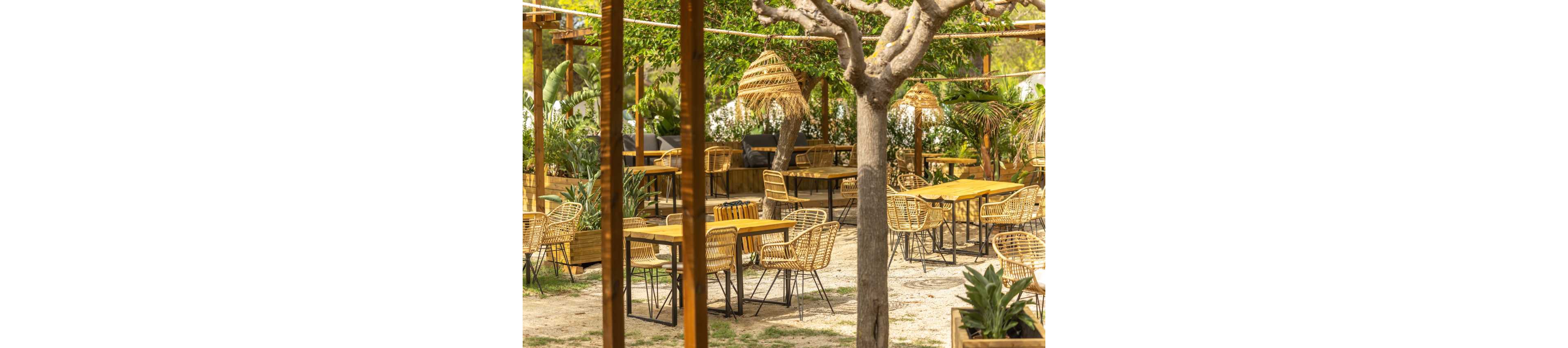 An inviting outdoor café terrace features numerous wooden tables and wicker chairs arranged on a sandy ground. The space is shaded by trees and wooden pergolas with woven pendant lights hanging above. Lush green plants in planters surround the seating area, creating a natural, tropical atmosphere. Warm sunlight enhances the golden tones of the wood and wicker, giving the scene a relaxed, summery feel.