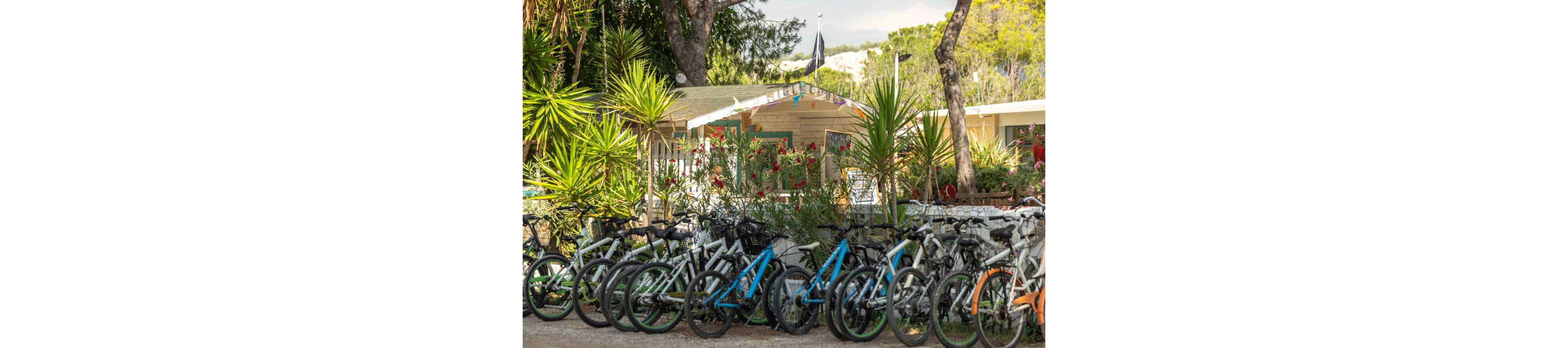 A long row of bicycles is parked in front of a small cabin or rental office. The scene is set in a sunny outdoor area surrounded by lush green trees and tropical plants. The cabin appears to be part of a holiday park or campsite, with relaxed, casual surroundings. Bright natural light and greenery create a warm, inviting atmosphere suitable for outdoor recreation.