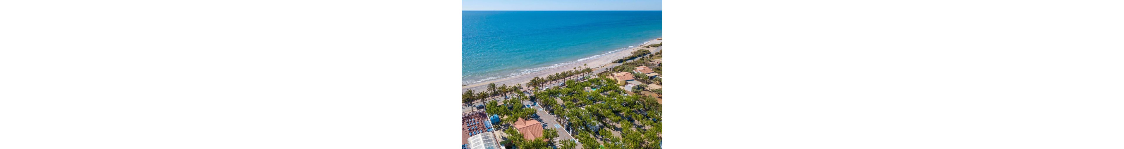 A seaside resort is captured from above along a wide sandy beach. Rows of palm trees line the shoreline, separating the beach from the resort buildings and green camping or lodging areas. The turquoise sea stretches to the horizon under a clear blue sky. Various structures, pools, and shaded areas are visible among the trees, suggesting a vacation destination.