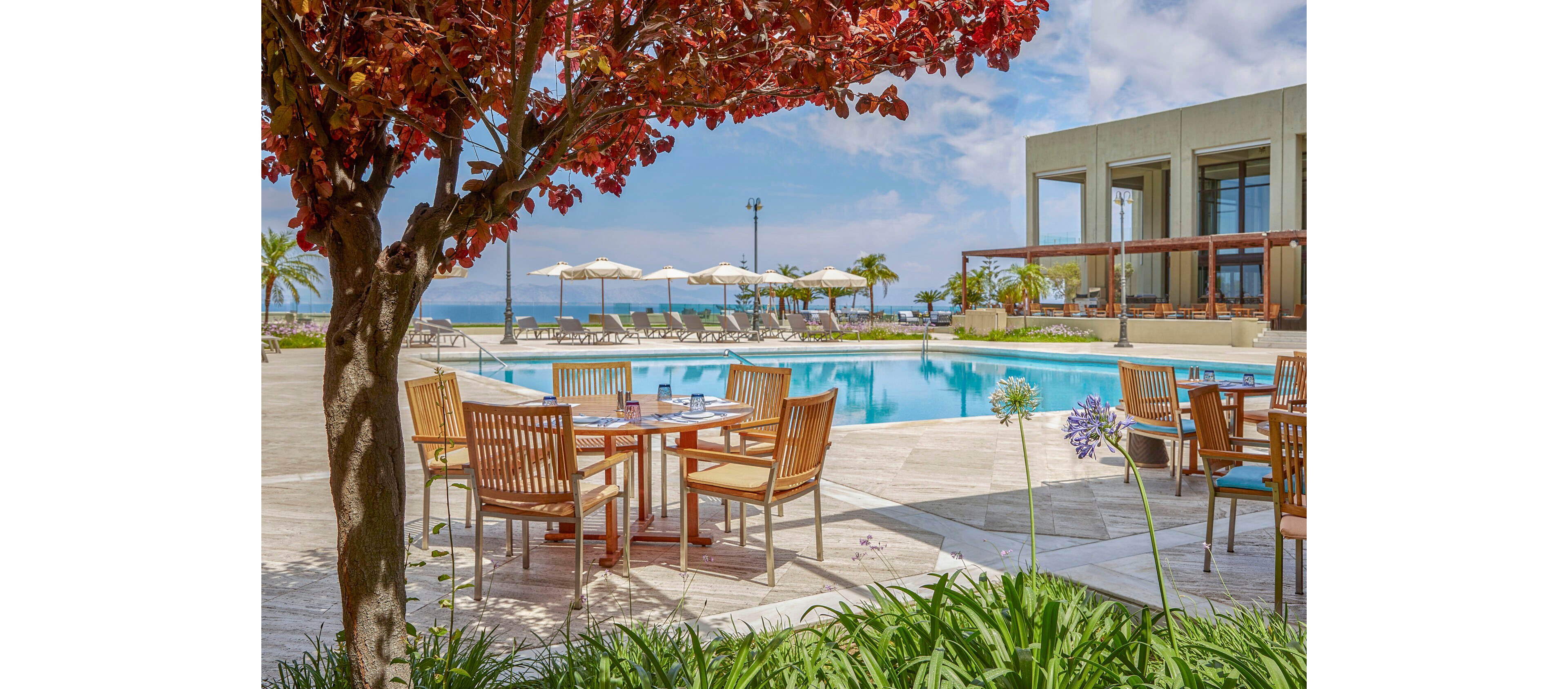 An inviting outdoor dining area with wooden tables and chairs overlooks a clear blue swimming pool. White sun umbrellas and lounge chairs line the poolside, facing toward the distant sea and sky. A tree with red foliage and flowering plants frame the foreground, adding vibrant color to the scene. The modern building and pergola structure suggest a contemporary resort setting ideal for relaxation and leisure.