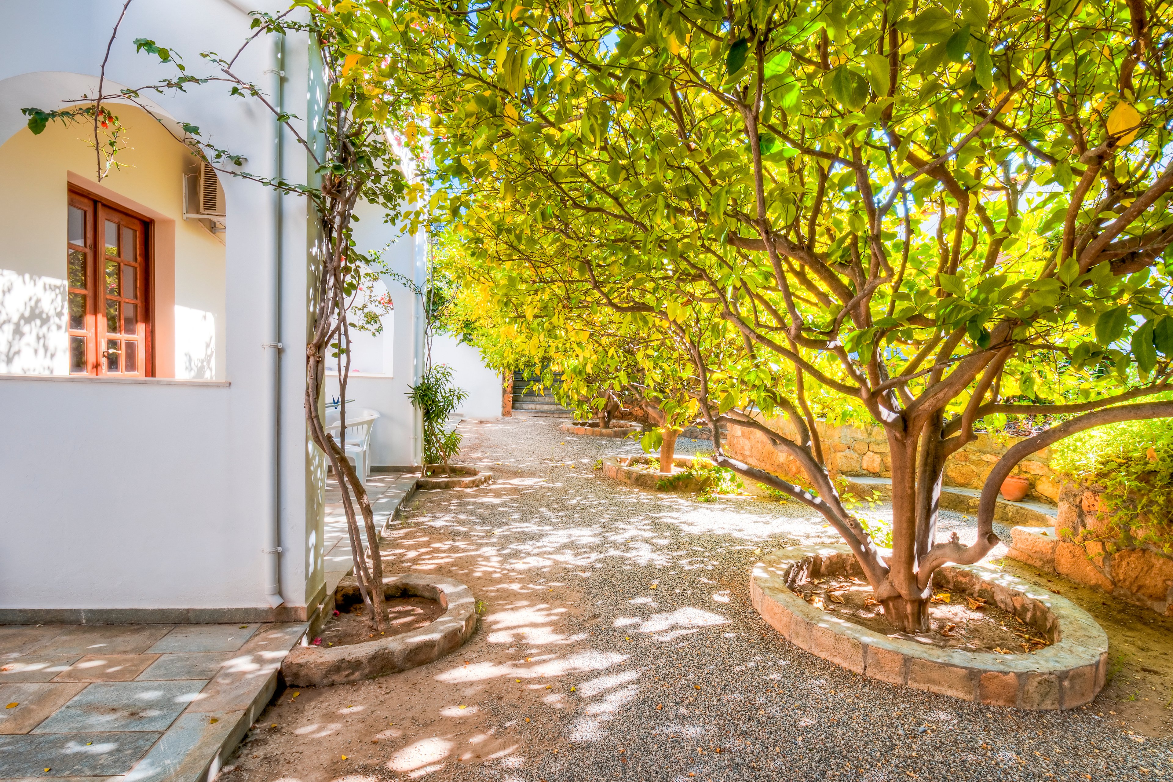 Lemon Tree Apartments