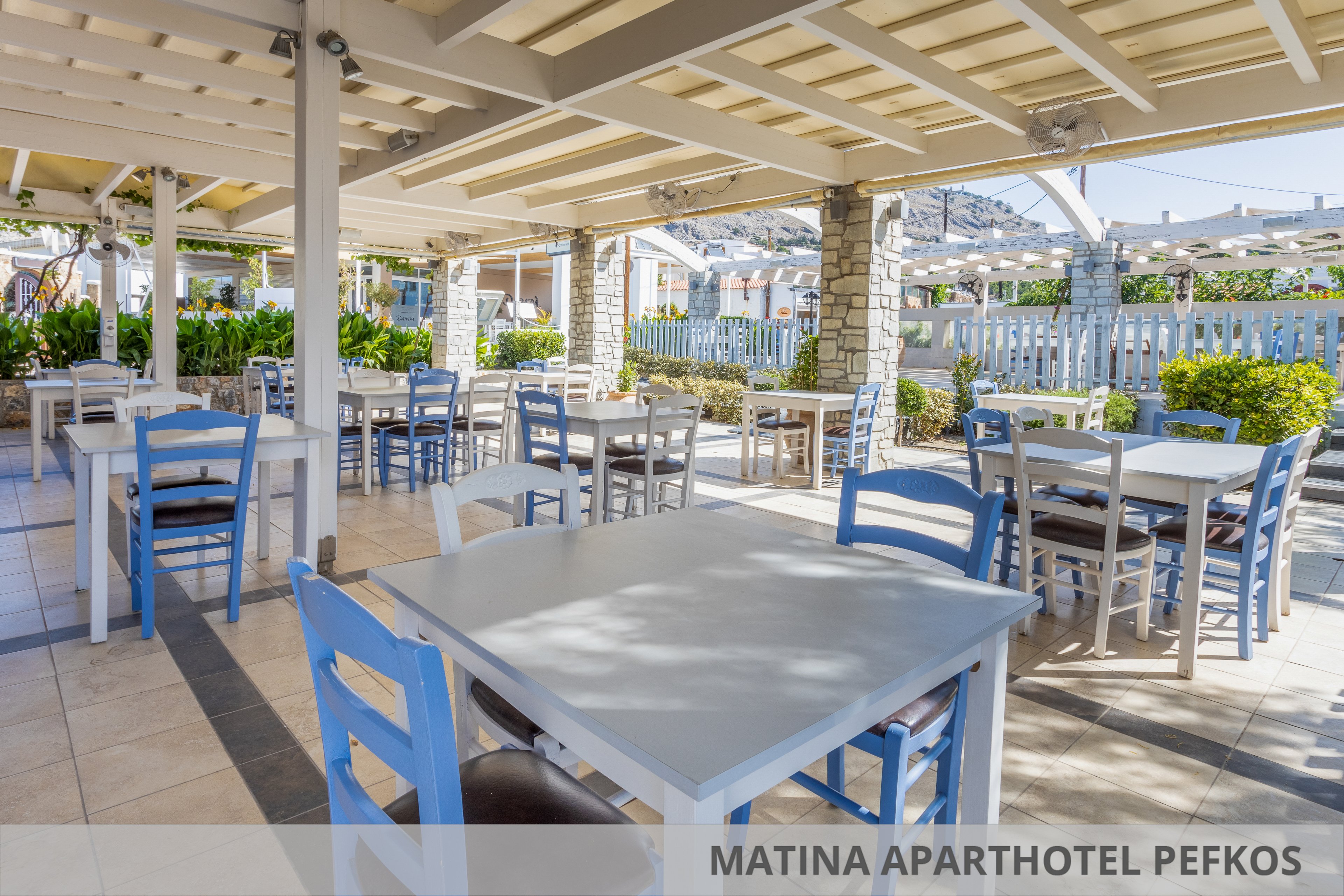 Lemon Tree Apartments